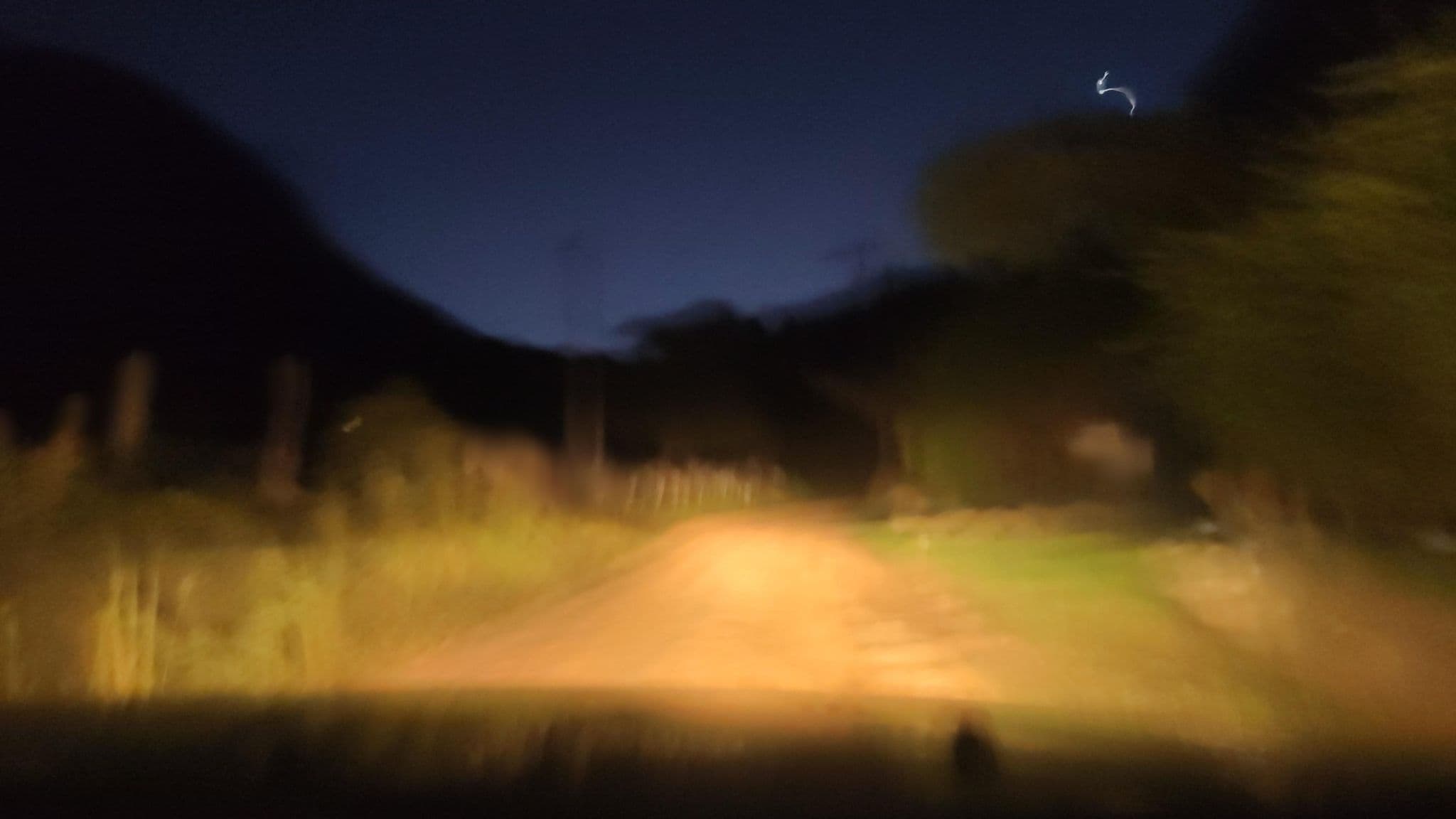 Street view near Rancho Serrano, Sapucaí-Mirim — © fepol (CC BY-SA · Mapillary)