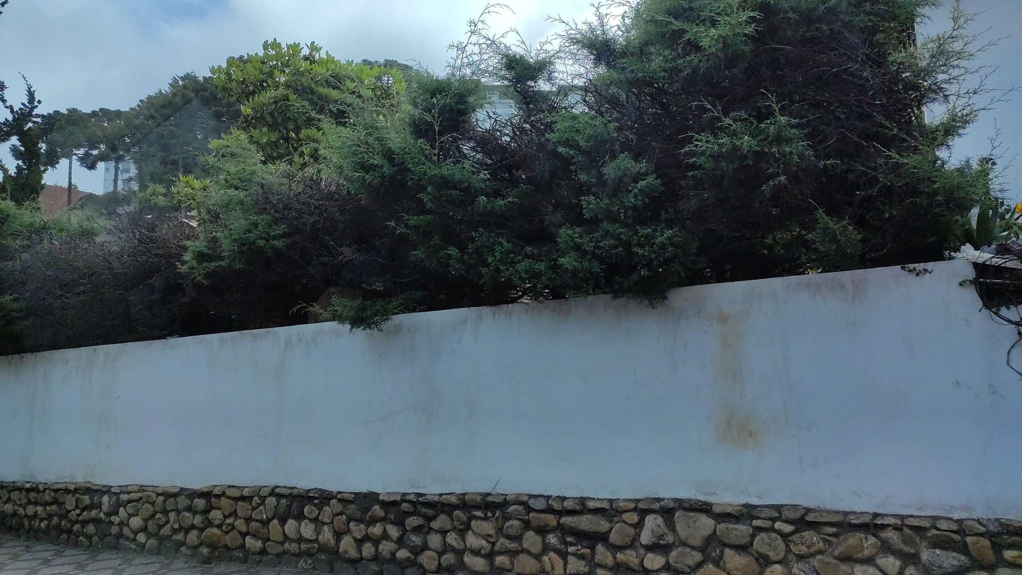 Street view near Pousada Recanto Feliz, Campos do Jordão — © nathancruz77 (CC BY-SA · Mapillary)