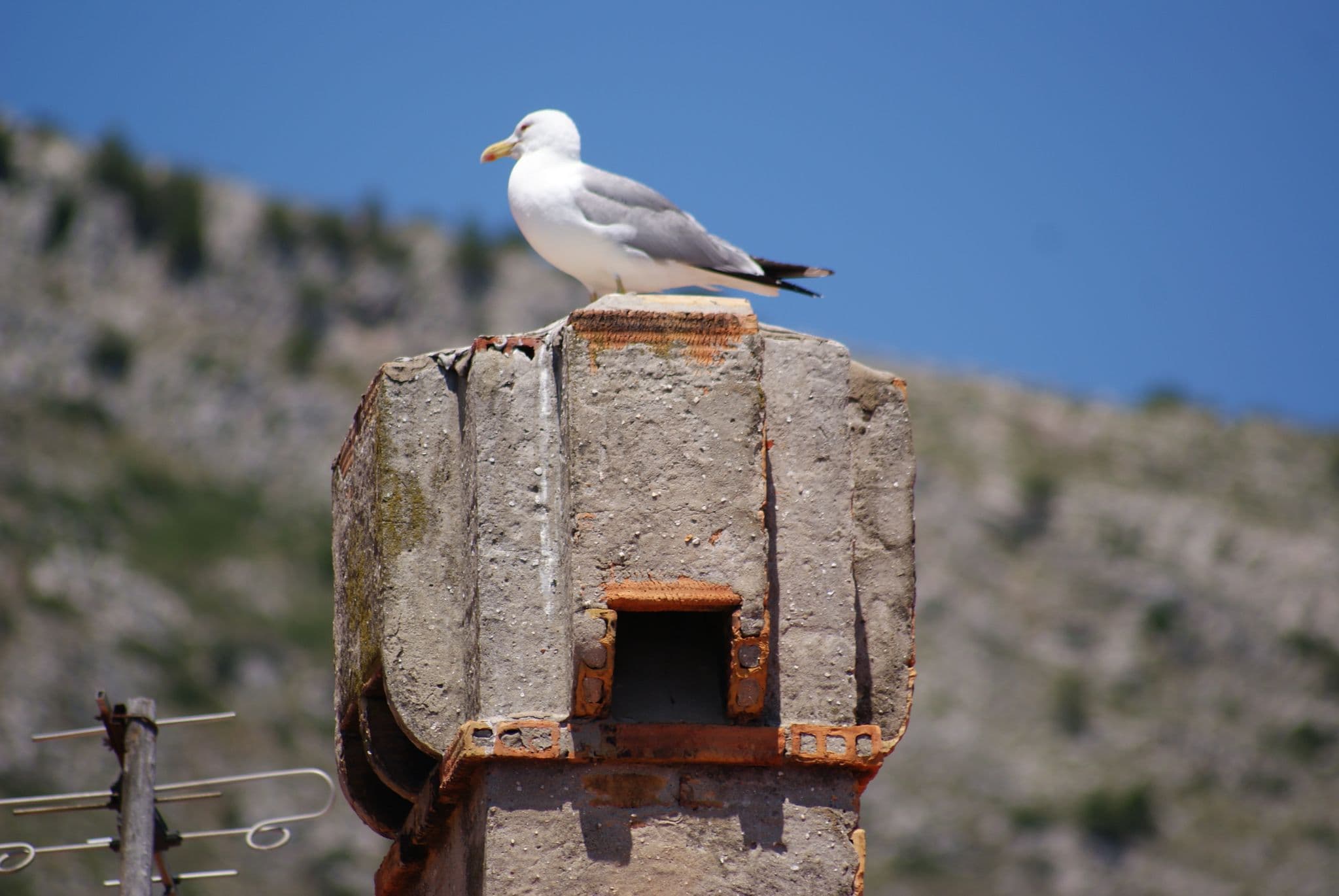 Street view near City Walls Hostel, Dubrovnik — © allefm (CC BY-SA · Mapillary)