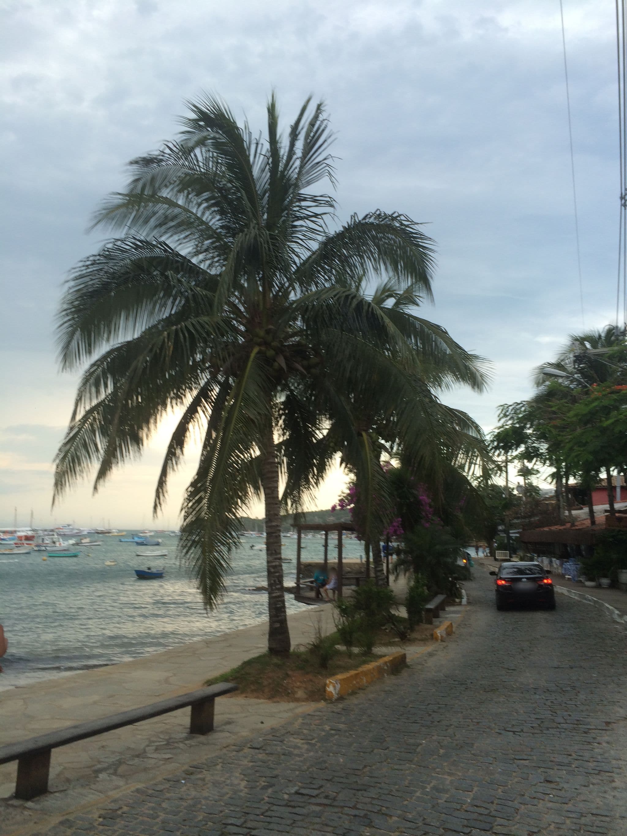 Street view near Passeio das Palmeiras, Armação dos Búzios — © pdn (CC BY-SA · Mapillary)