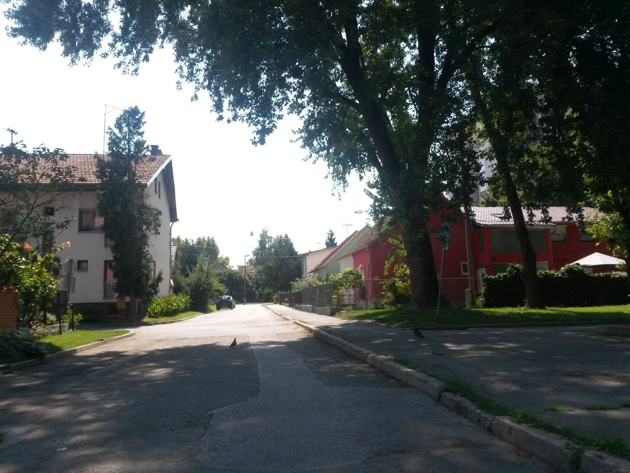 Street view near Apartman Novi Grad, Osijek — © osmapper (CC BY-SA · Mapillary)