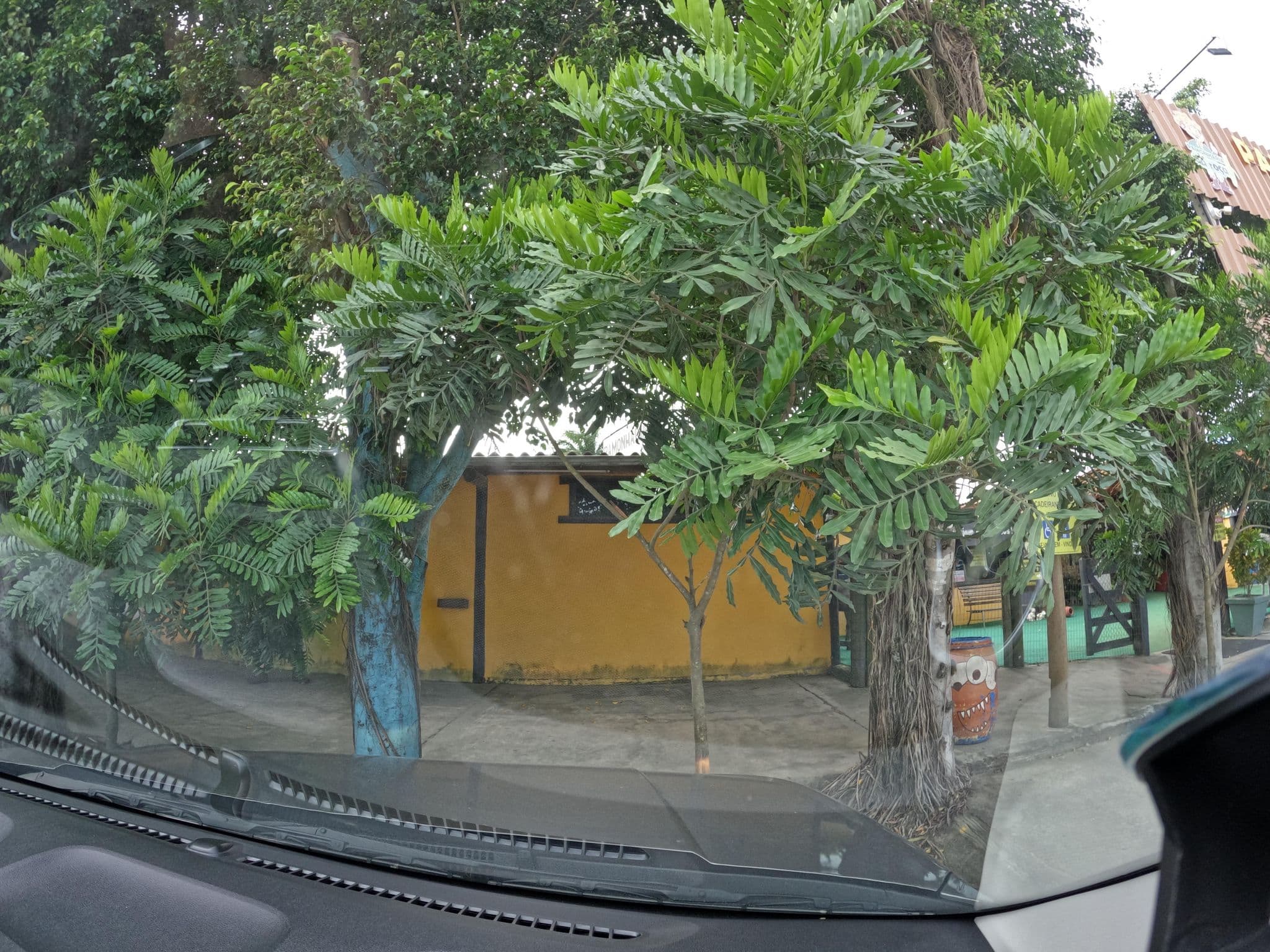 Street view near Pamonharia da Roça, Aracruz — © lubdub (CC BY-SA · Mapillary)