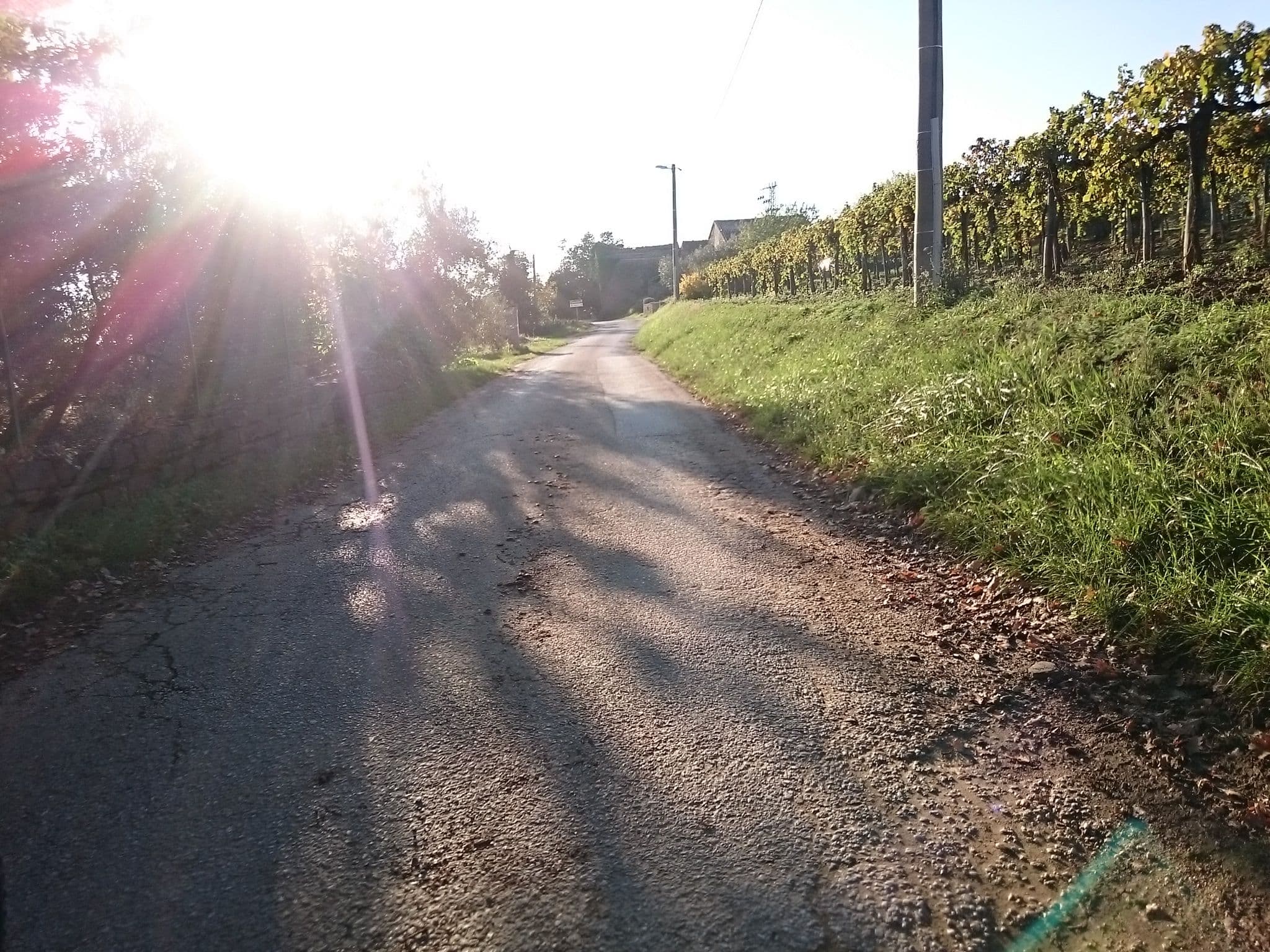 Street view near Casa Margerita, Buje — © voschix (CC BY-SA · Mapillary)