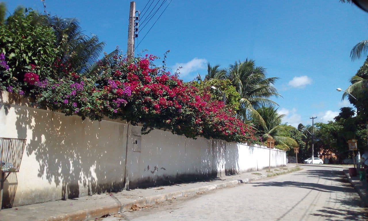 Street view near Marie Claire Flats, Ipojuca — © fredporto (CC BY-SA · Mapillary)