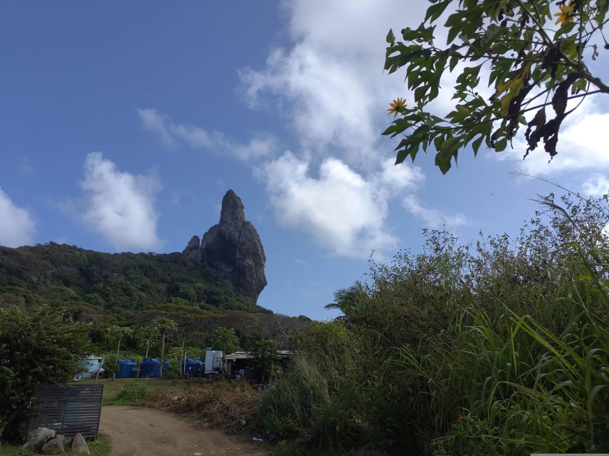 Street view near Noronha 350, Vila dos Remédios — © robtrip (CC BY-SA · Mapillary)