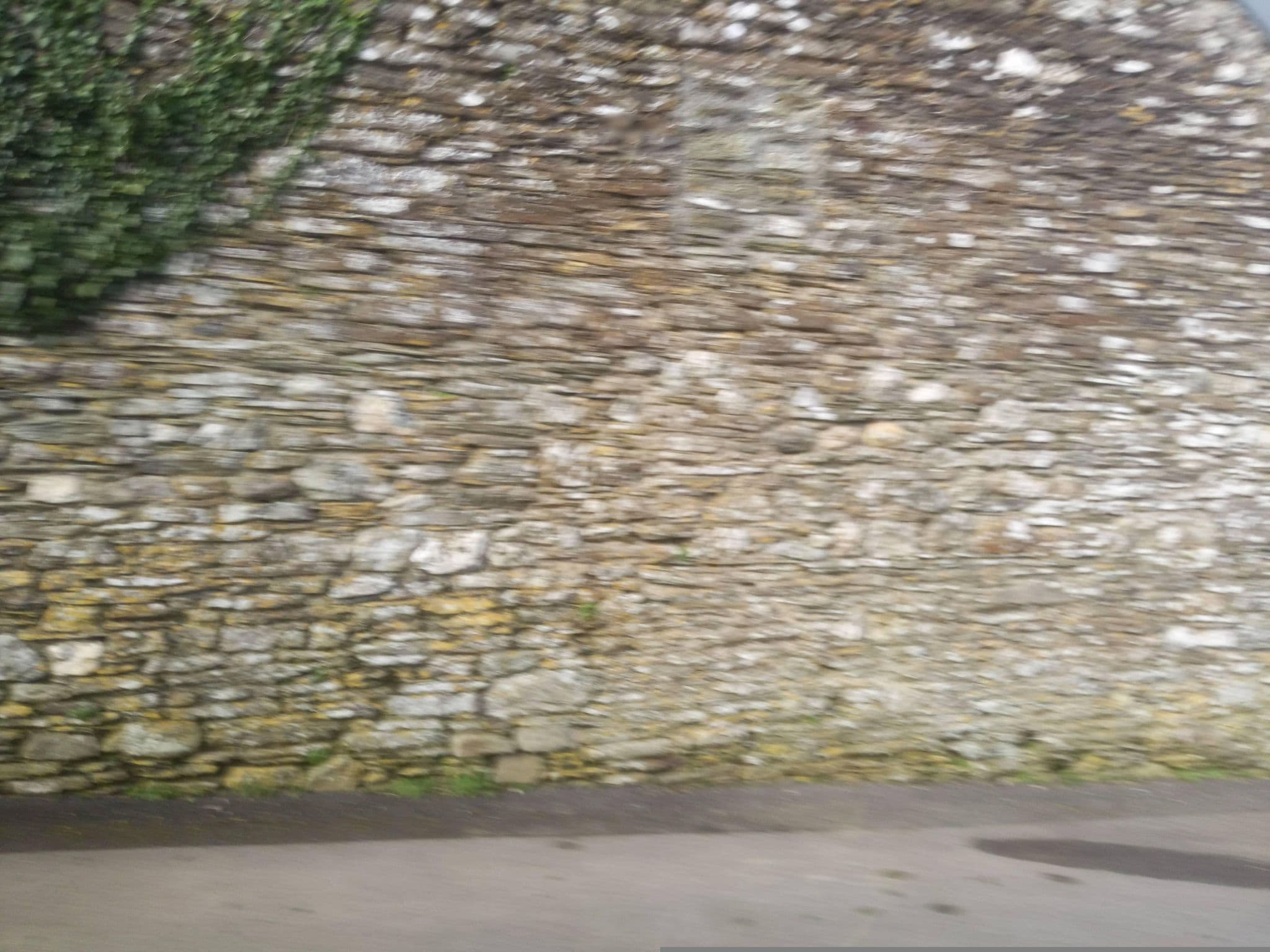 Street view near Penquite Farm, Fowey — © WaggyDog (CC BY-SA · Mapillary)