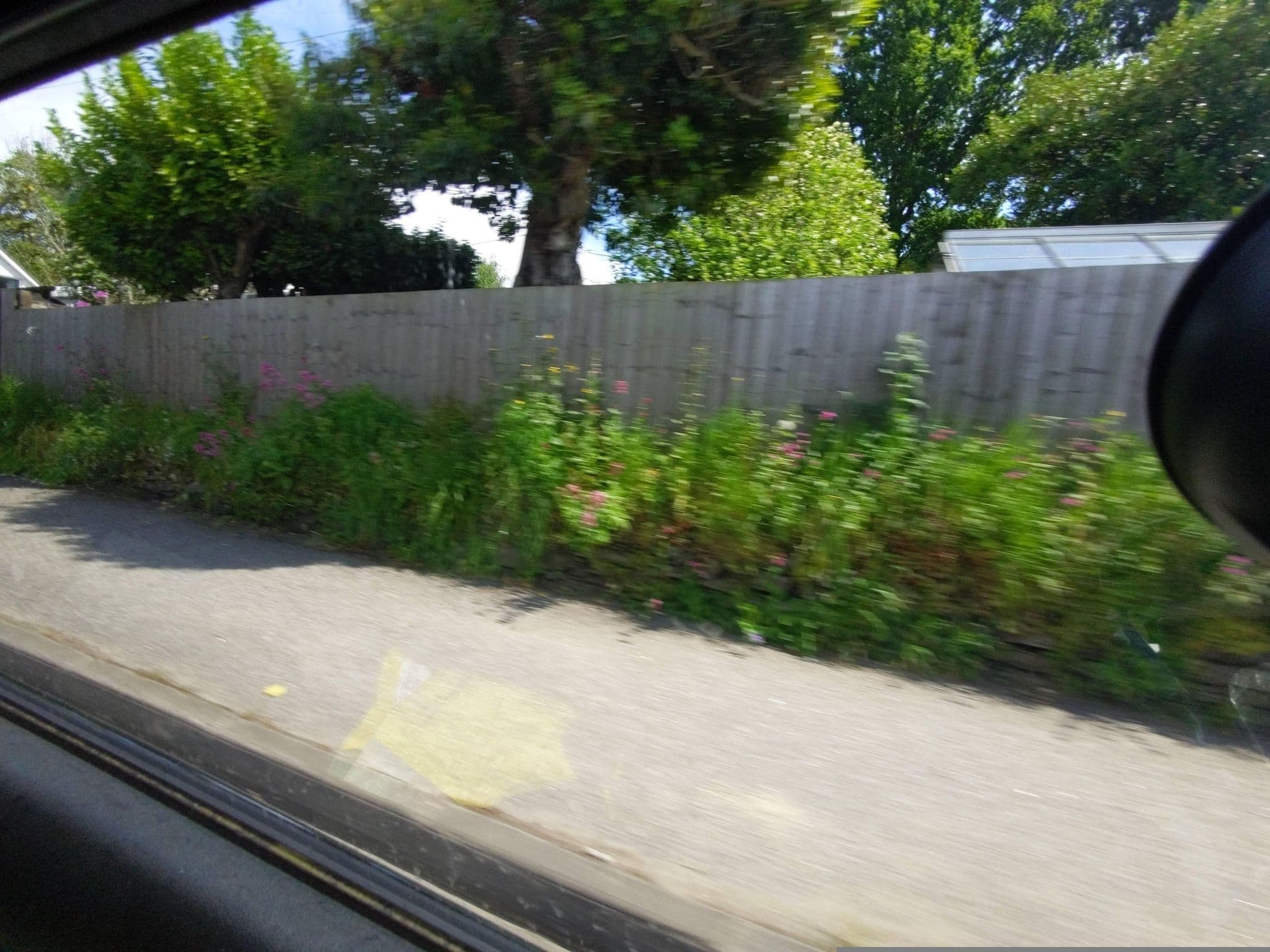 Street view near Palm Garden House, Saint Blazey — © WaggyDog (CC BY-SA · Mapillary)