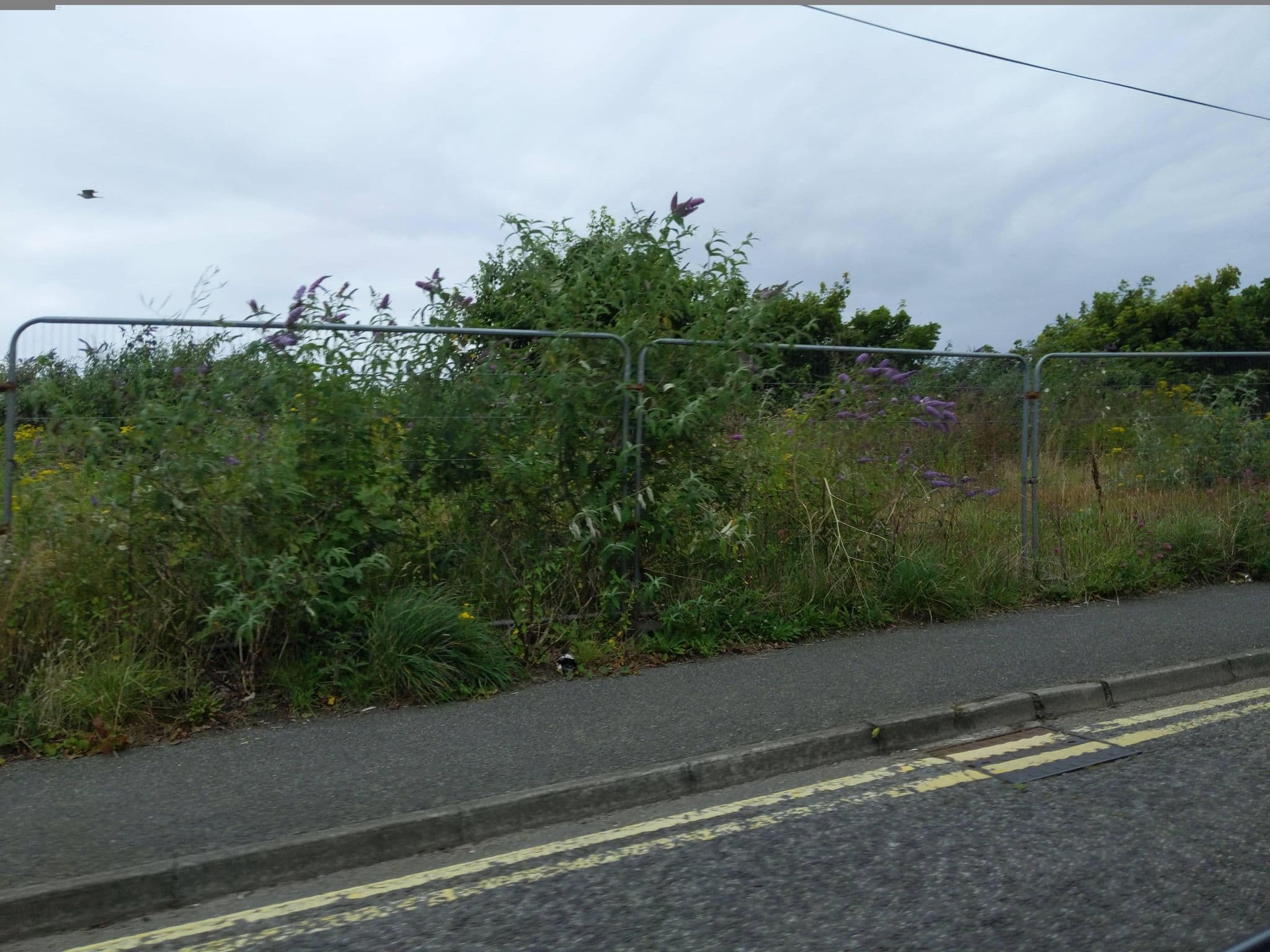 Street view near Wheal Trenwith Cottage, St Ives — © WaggyDog (CC BY-SA · Mapillary)