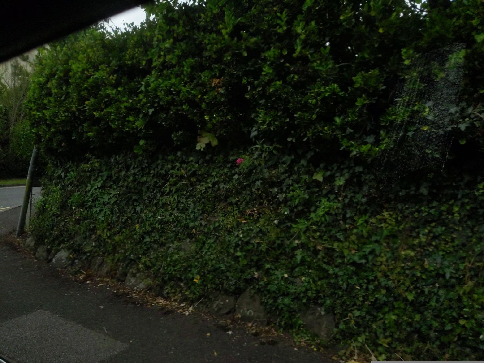 Street view near Glanmor, St Ives — © WaggyDog (CC BY-SA · Mapillary)