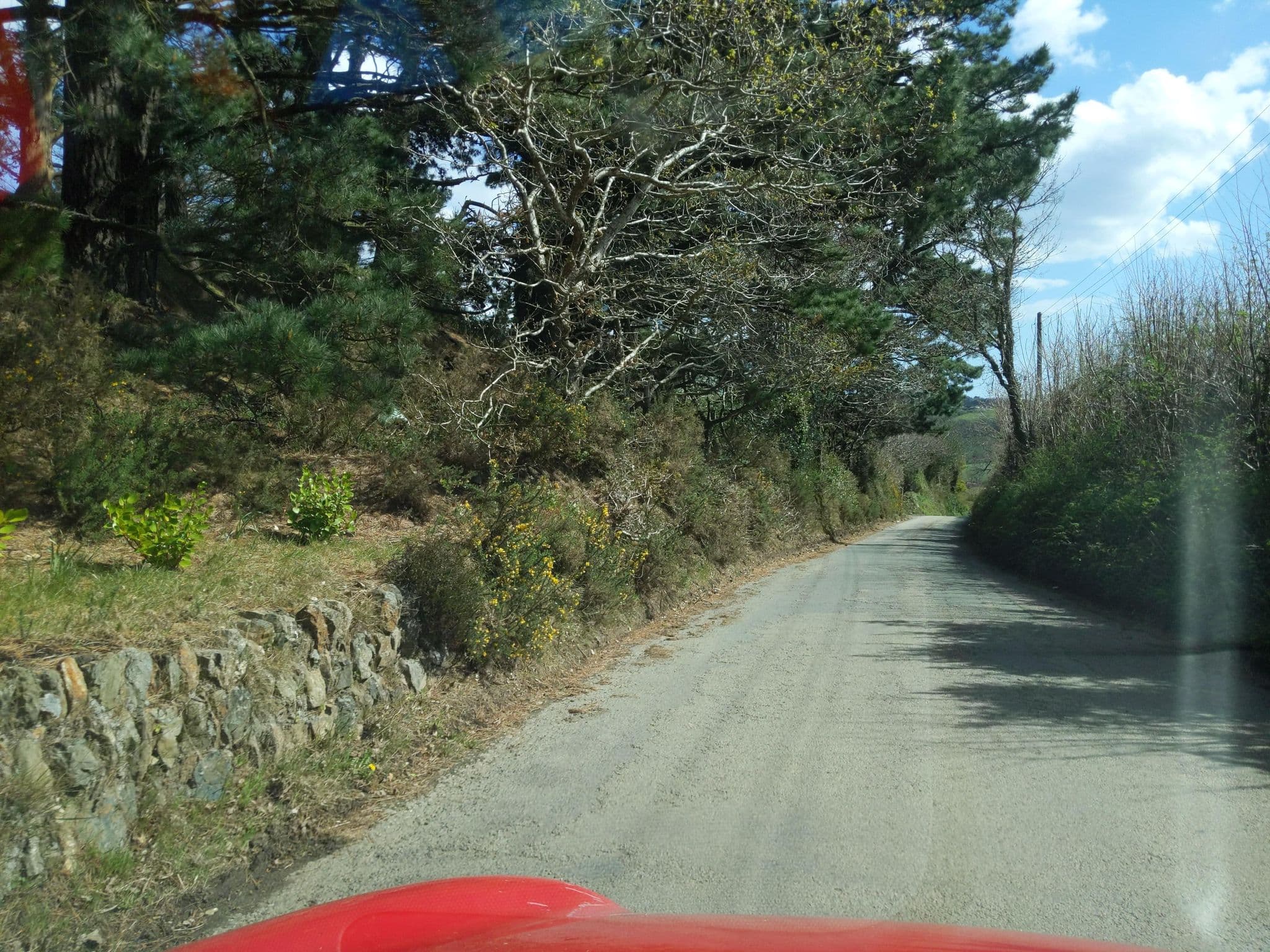 Street view near A T & J E Jefferies-Jones, Saint Blazey — © WaggyDog (CC BY-SA · Mapillary)