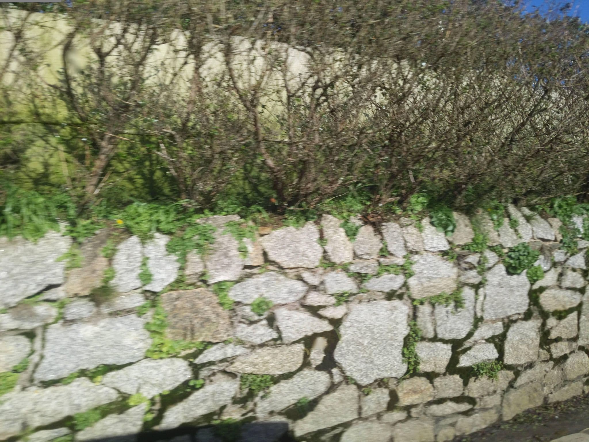 Street view near Richardson Hotels, Portscatho — © WaggyDog (CC BY-SA · Mapillary)