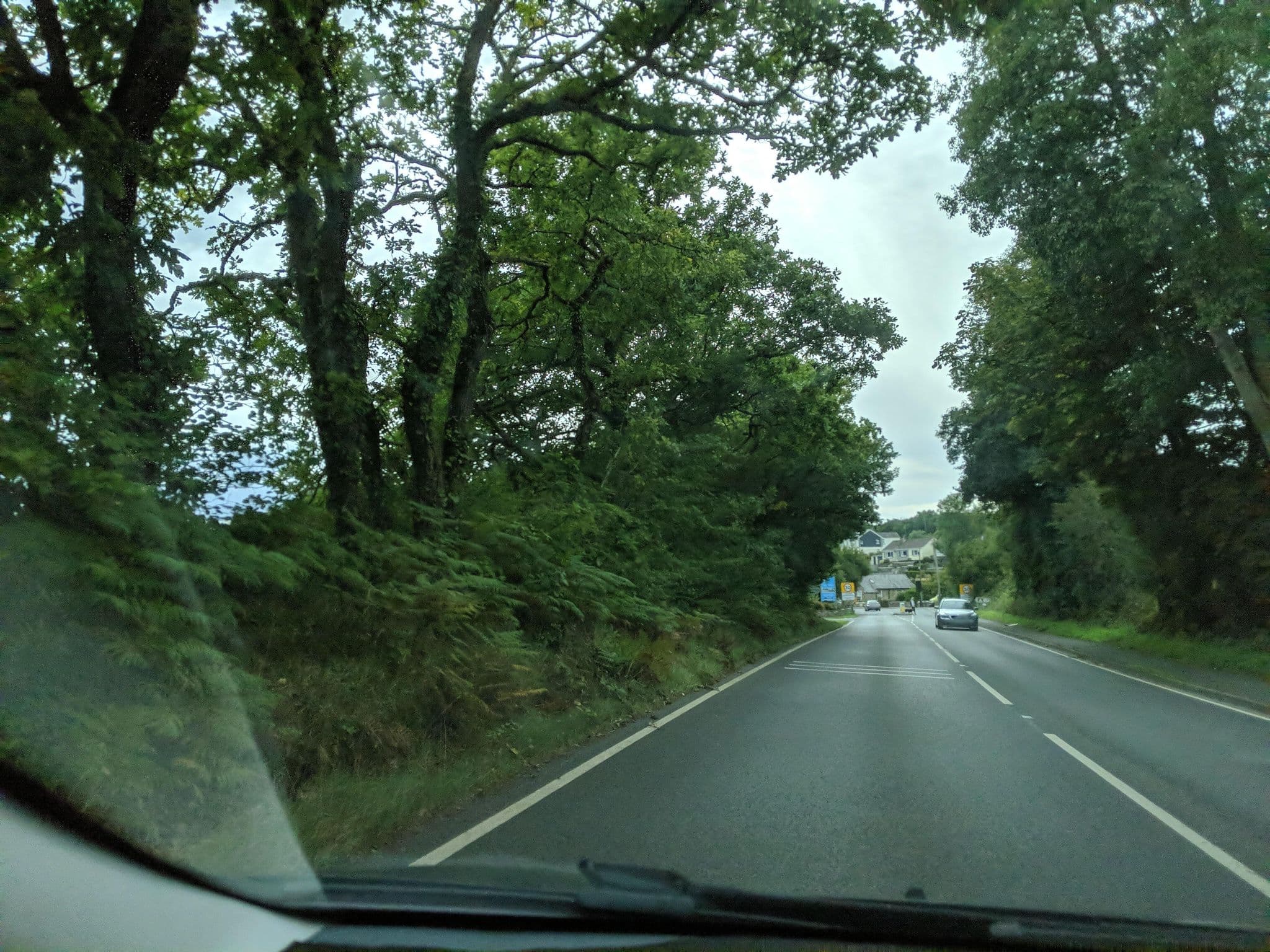Street view near Polgreen Farm & Guest House, St Austell — © WaggyDog (CC BY-SA · Mapillary)