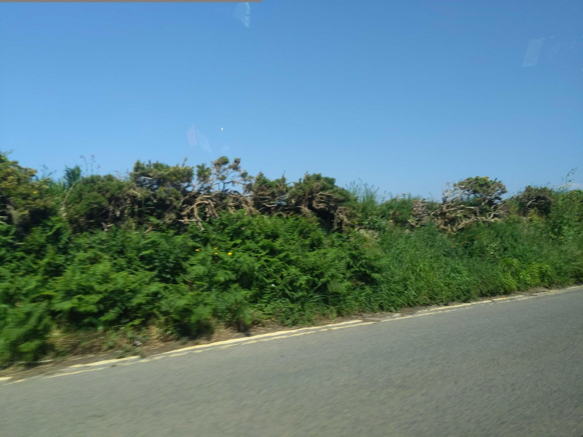Street view near Willow Stump Airbnb, St Just — © WaggyDog (CC BY-SA · Mapillary)