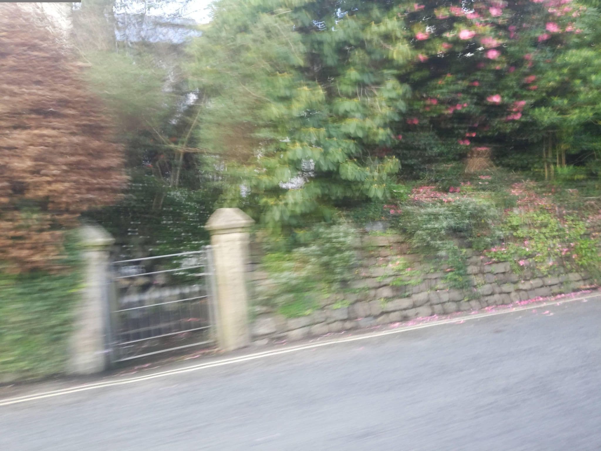 Street view near Holly House, St Austell — © WaggyDog (CC BY-SA · Mapillary)