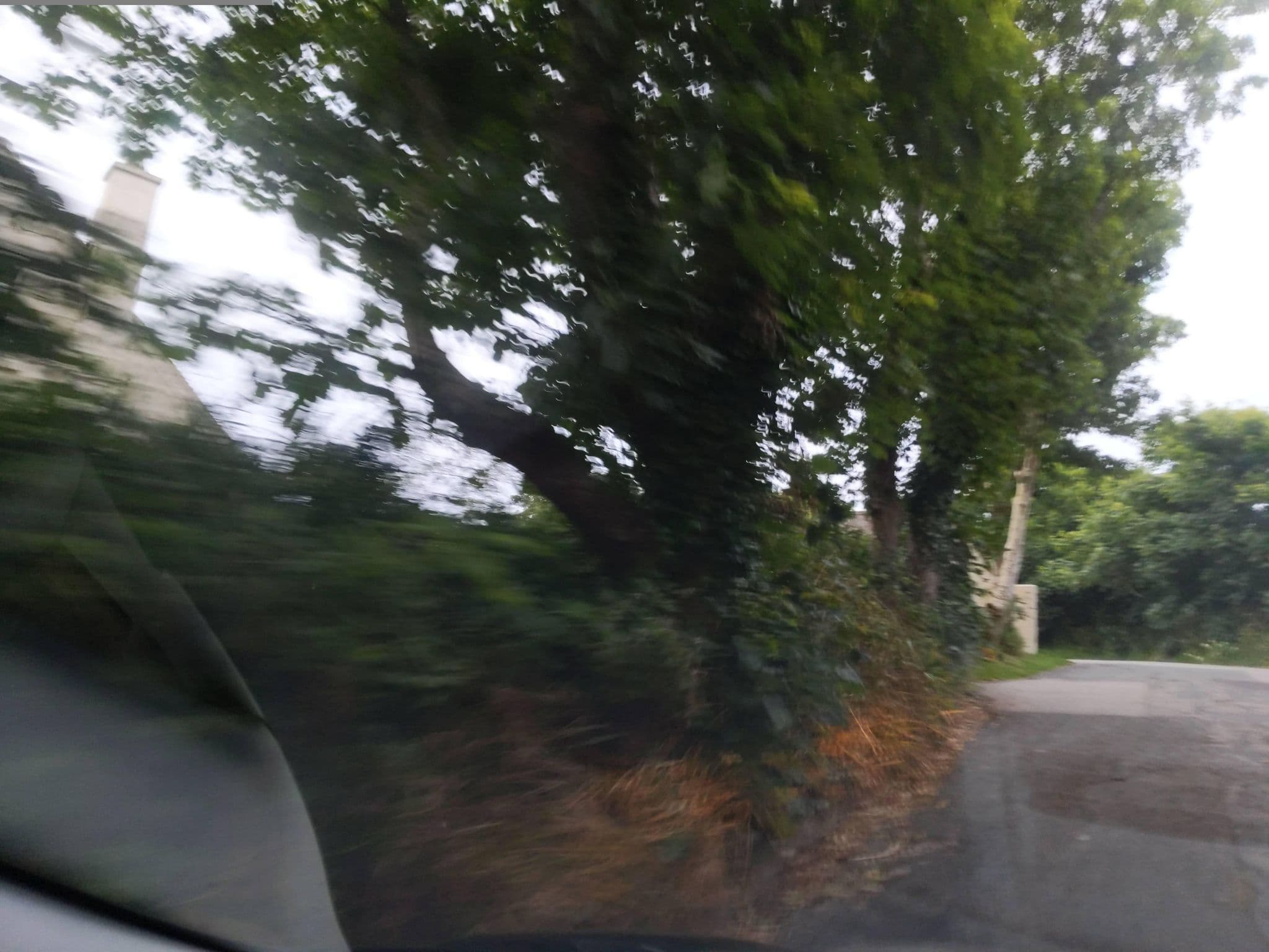 Street view near Pippa's Place, St Just — © WaggyDog (CC BY-SA · Mapillary)