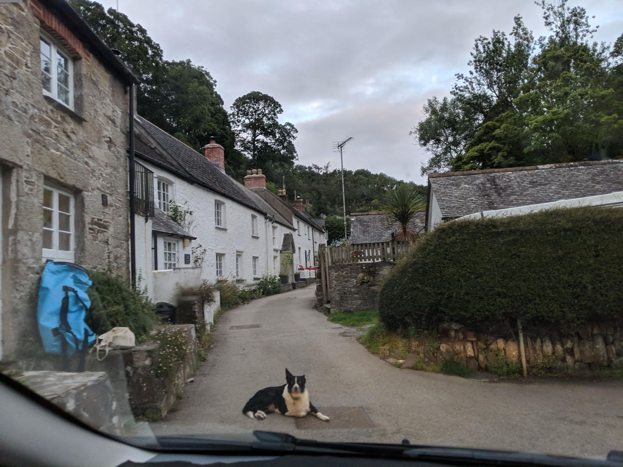 Street view near The Riverside, Falmouth — © WaggyDog (CC BY-SA · Mapillary)