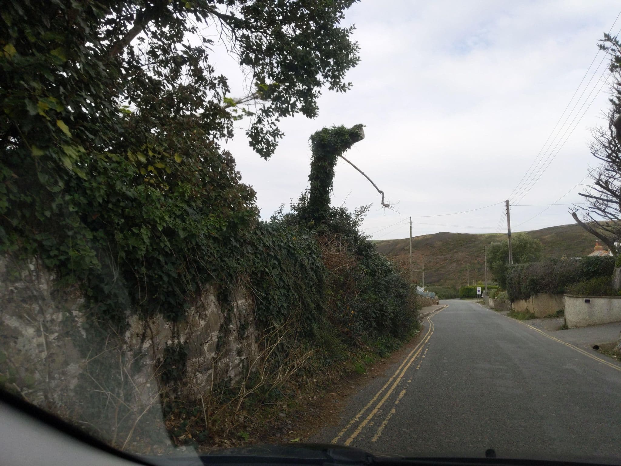 Street view near Trehane, Polzeath — © WaggyDog (CC BY-SA · Mapillary)