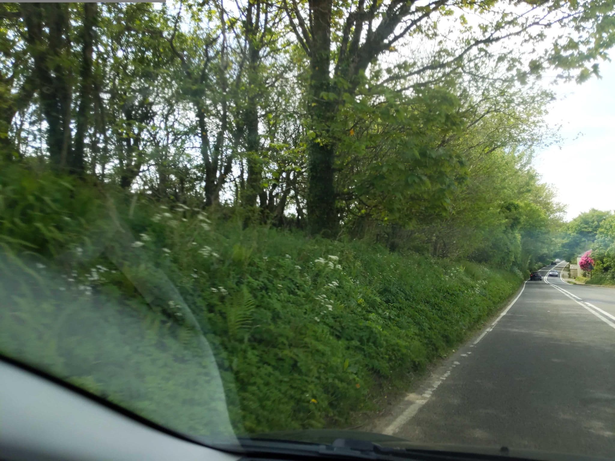 Street view near Cross Close House B&B, Lostwithiel — © WaggyDog (CC BY-SA · Mapillary)