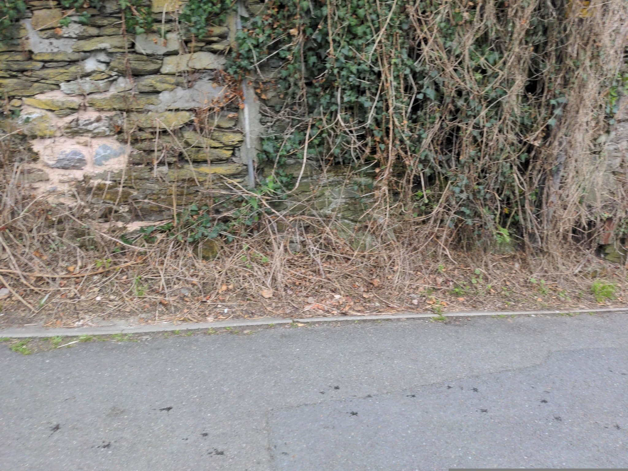Street view near Looe Self Catering, Looe — © WaggyDog (CC BY-SA · Mapillary)