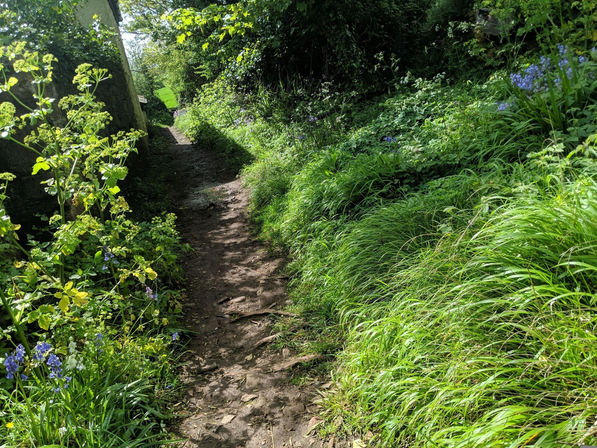 Street view near Friary Manor, Torpoint — © WaggyDog (CC BY-SA · Mapillary)