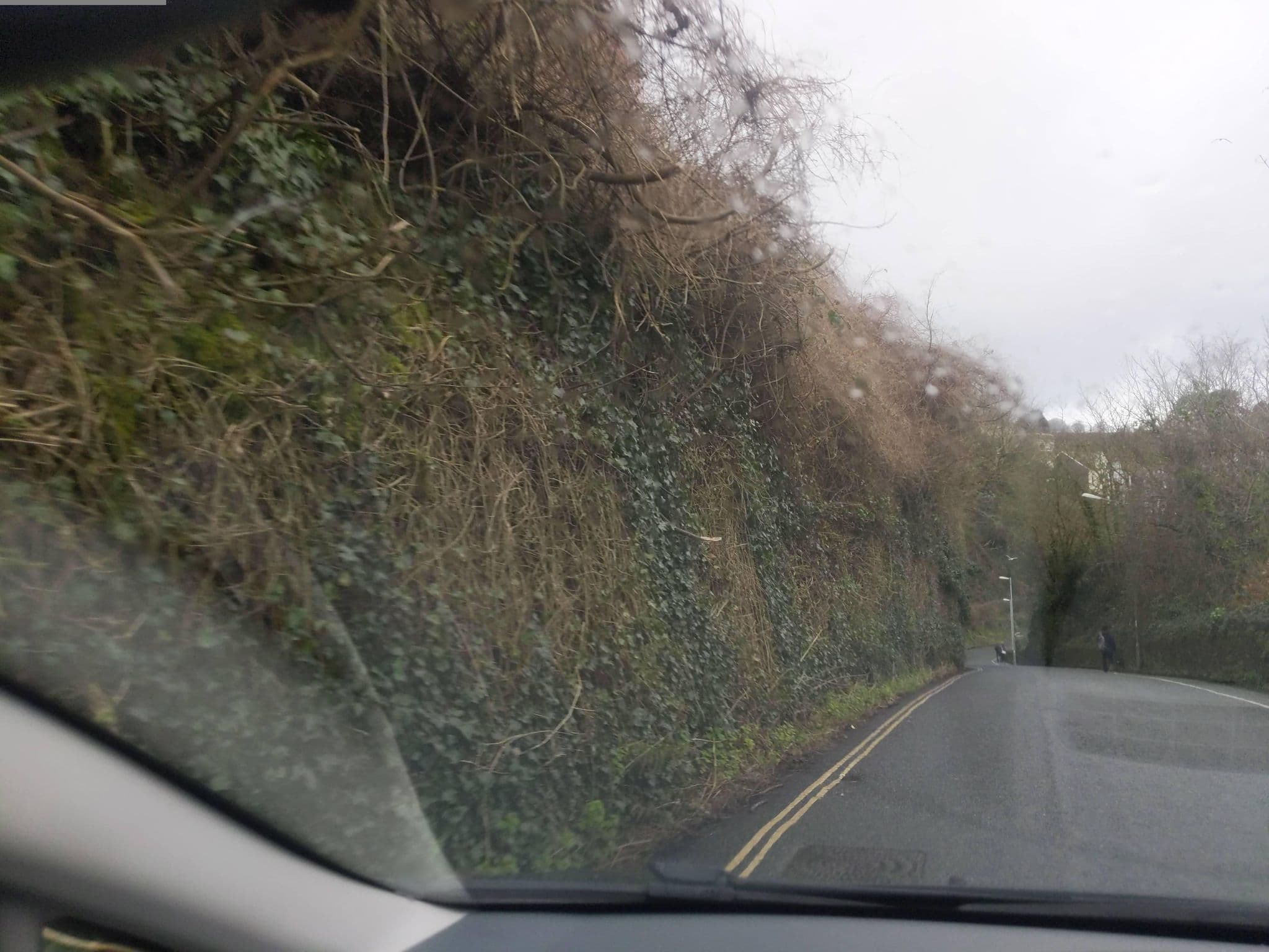 Street view near Pendower Guest House, Looe — © WaggyDog (CC BY-SA · Mapillary)