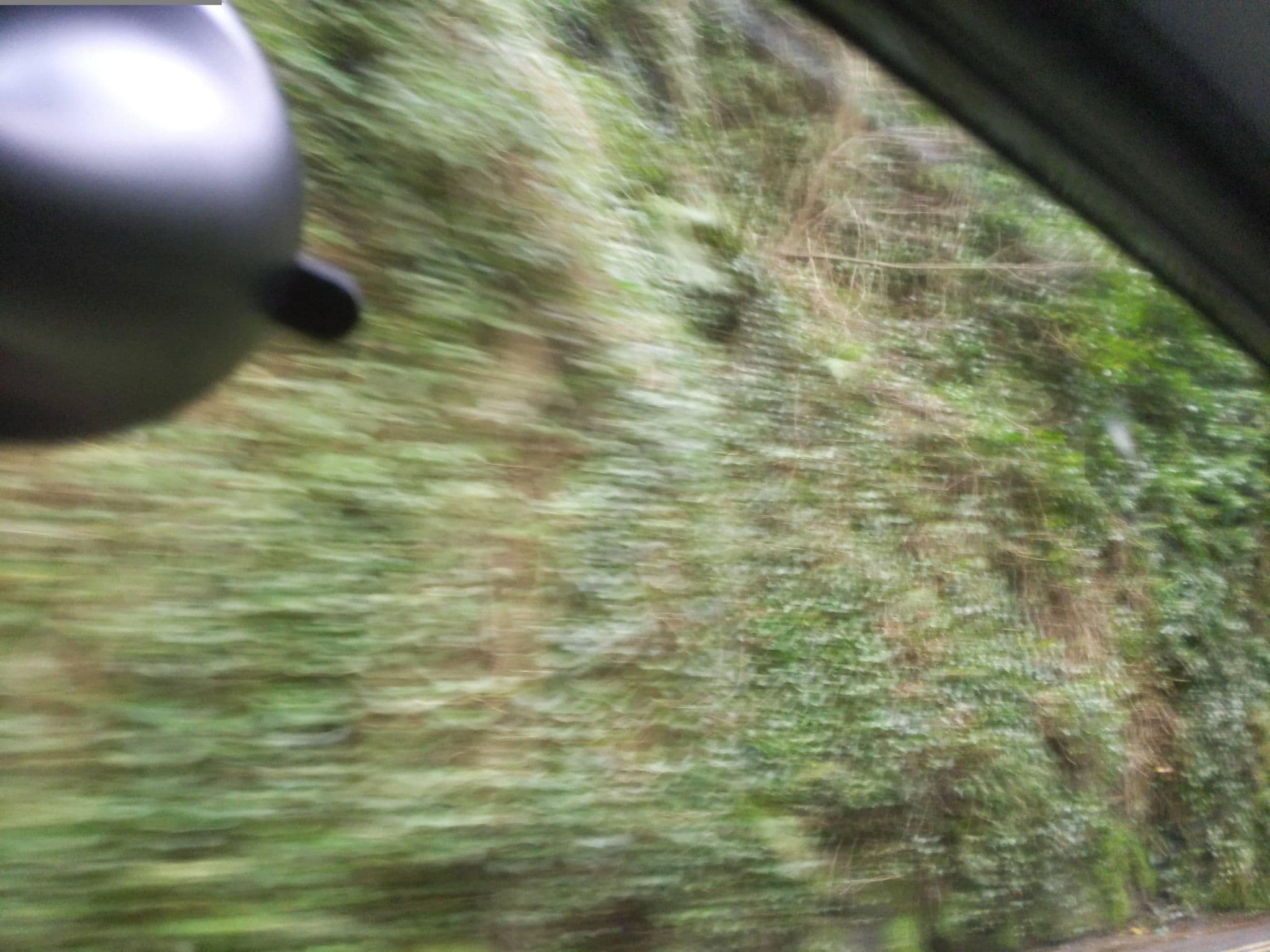 Street view near The Gulls Hotel, Looe — © WaggyDog (CC BY-SA · Mapillary)