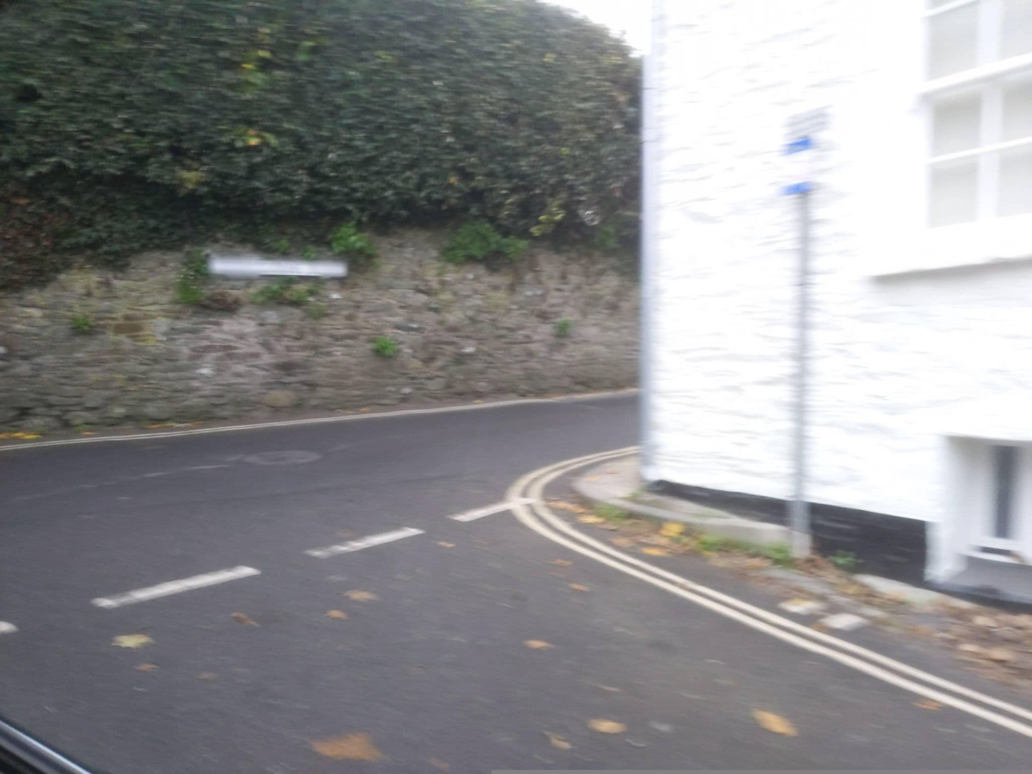 Street view near Cotillion, Salcombe — © WaggyDog (CC BY-SA · Mapillary)
