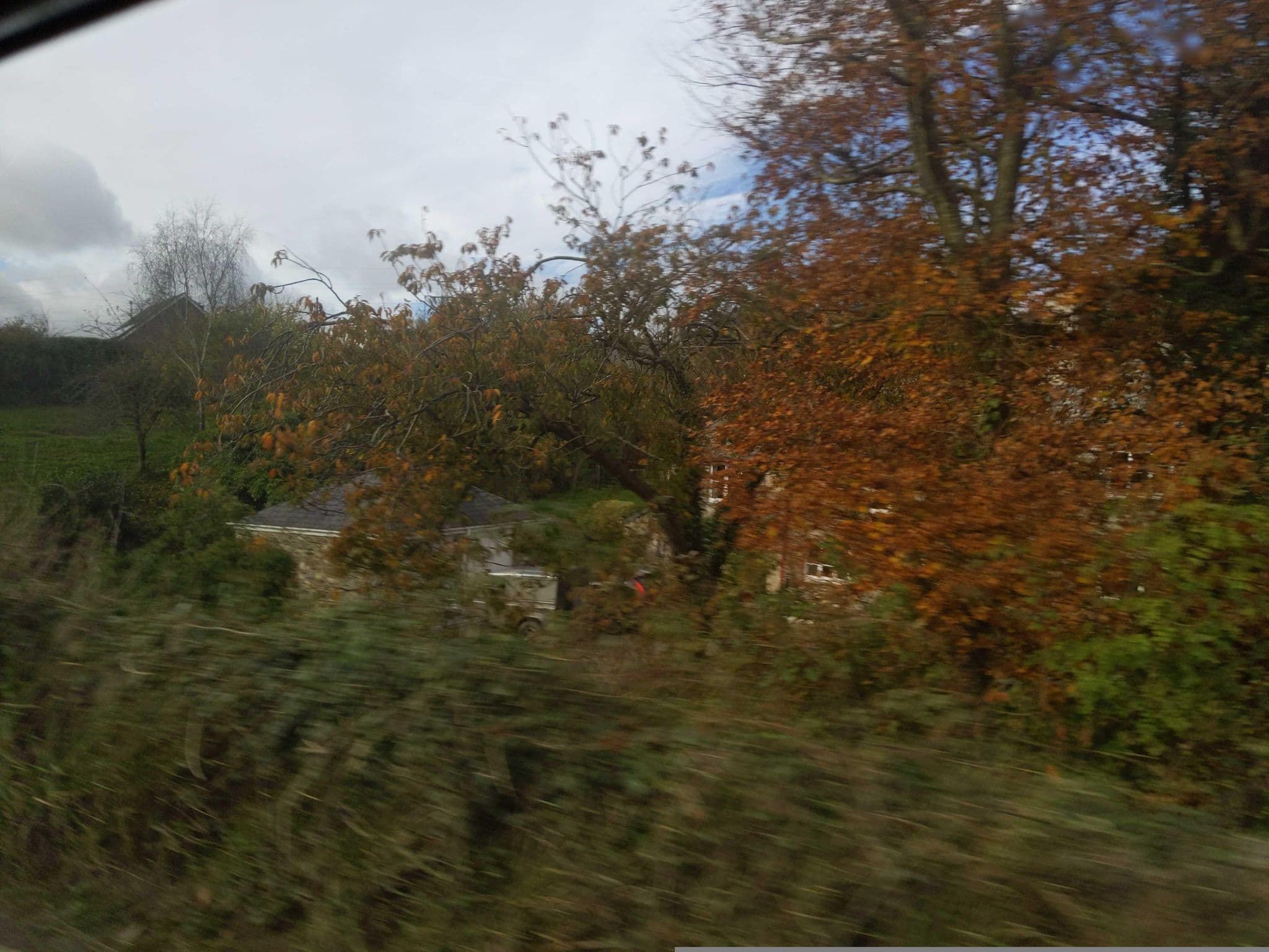 Street view near Culverpark Nurseries & Guest House, South Brent — © WaggyDog (CC BY-SA · Mapillary)