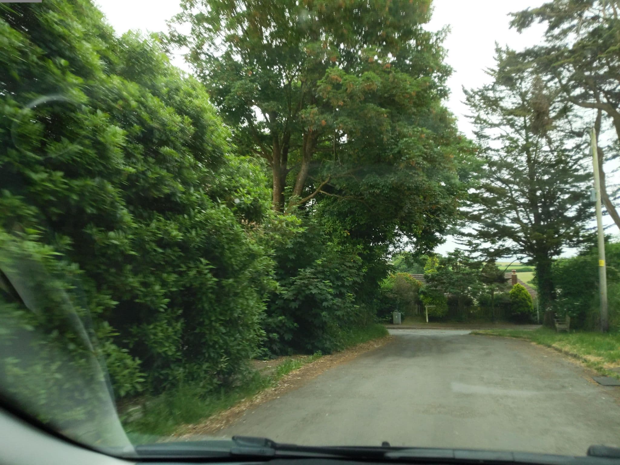 Street view near Torridge House, Little Torrington, Great Torrington — © WaggyDog (CC BY-SA · Mapillary)