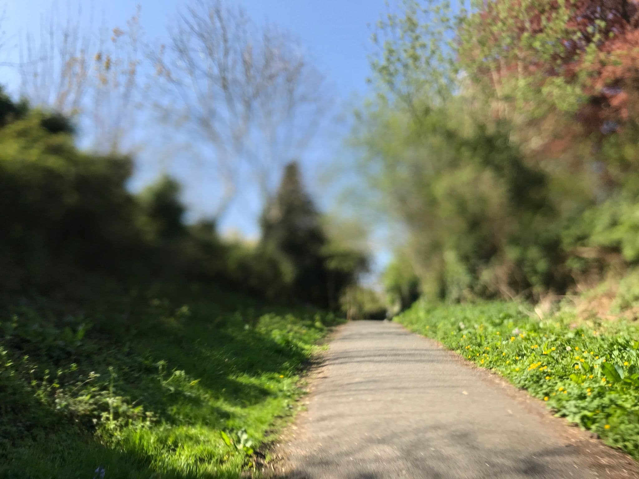 Street view near The Poplars Guest House, Barnstaple — © cyclestreets (CC BY-SA · Mapillary)