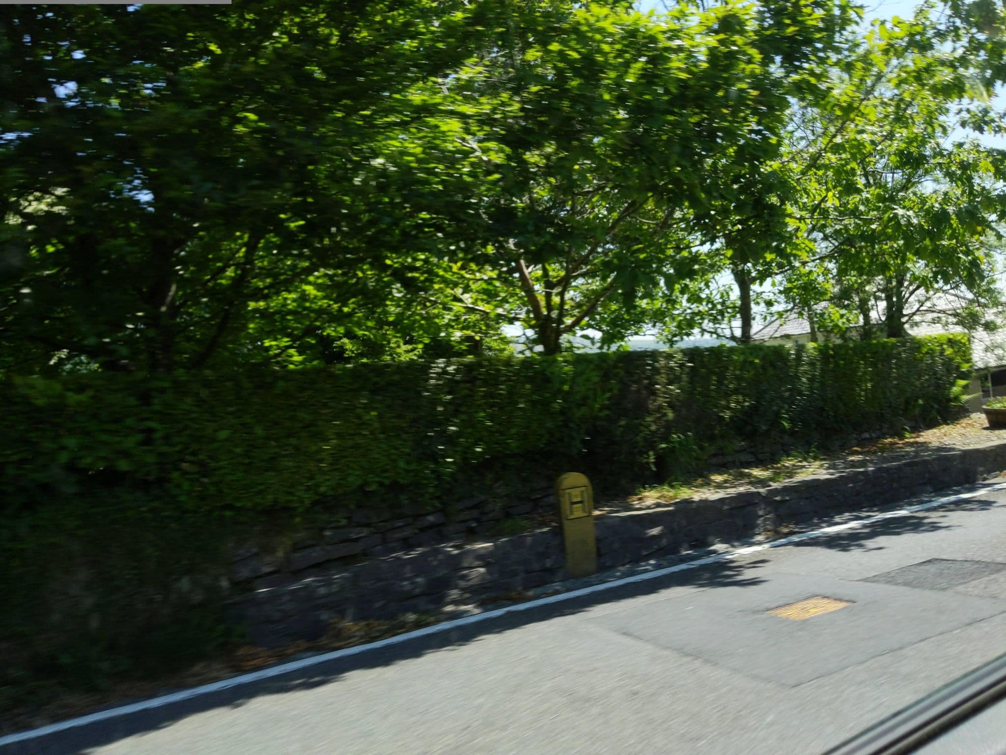 Street view near Homeleigh Bed & Breakfast, Tavistock — © WaggyDog (CC BY-SA · Mapillary)