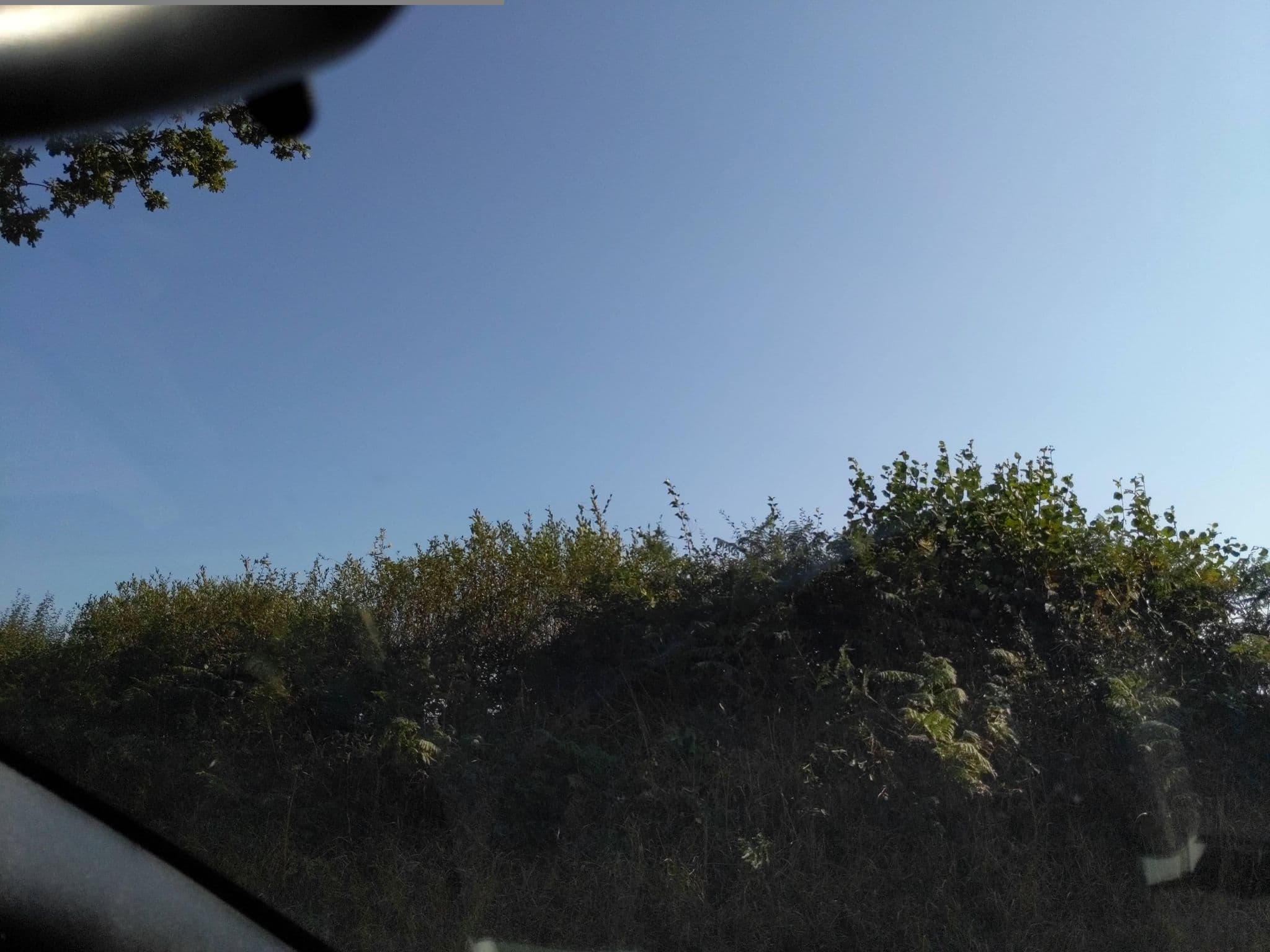 Street view near Moorparks Holiday Cottages, Great Torrington — © WaggyDog (CC BY-SA · Mapillary)