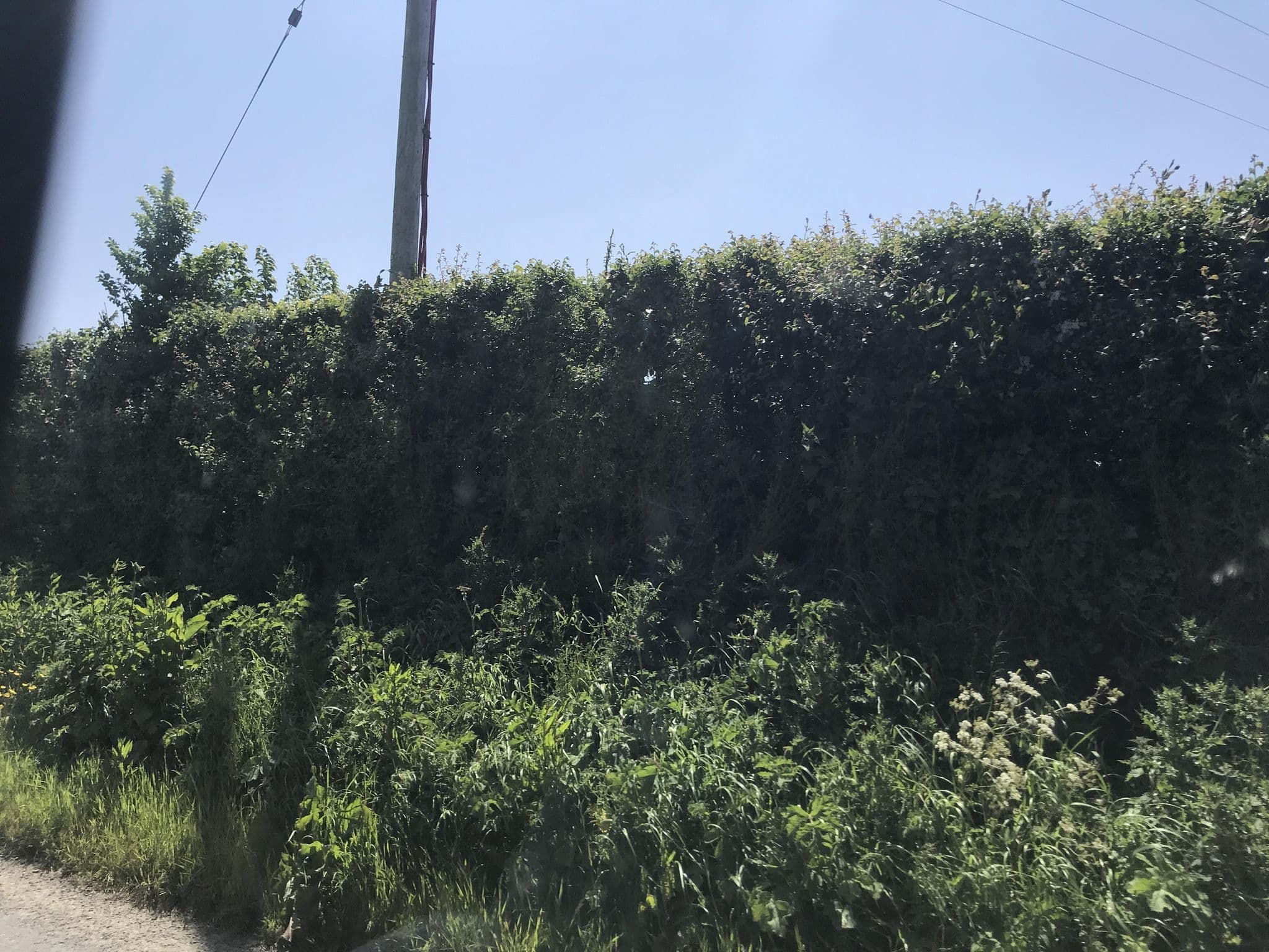 Street view near Ocean View Bungalow, Bude — © miguel_andrade (CC BY-SA · Mapillary)