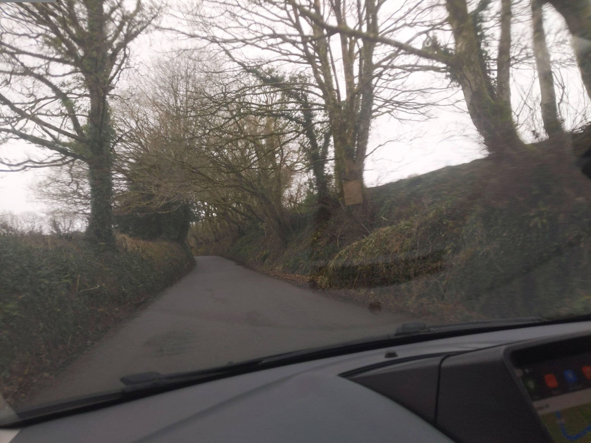 Street view near Trussel Barn, Liskeard — © WaggyDog (CC BY-SA · Mapillary)