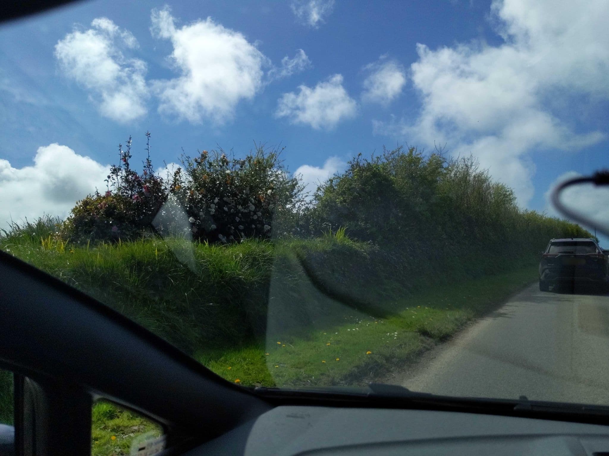 Street view near High Ways House, Ilfracombe — © WaggyDog (CC BY-SA · Mapillary)