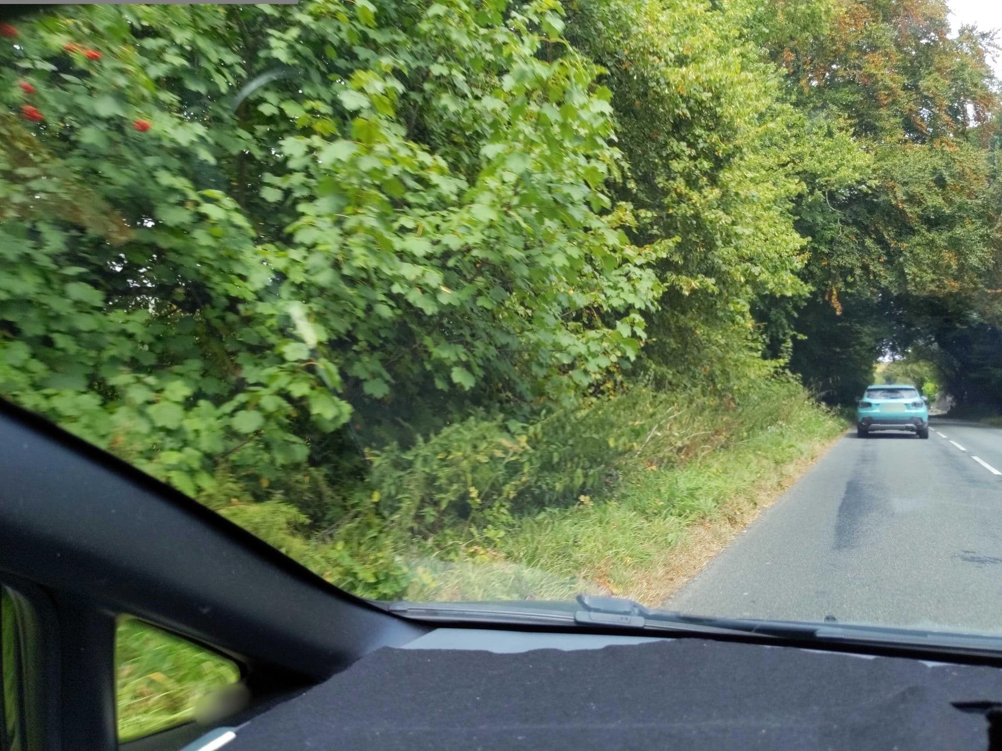 Street view near Beechwood B&B, Princetown — © WaggyDog (CC BY-SA · Mapillary)