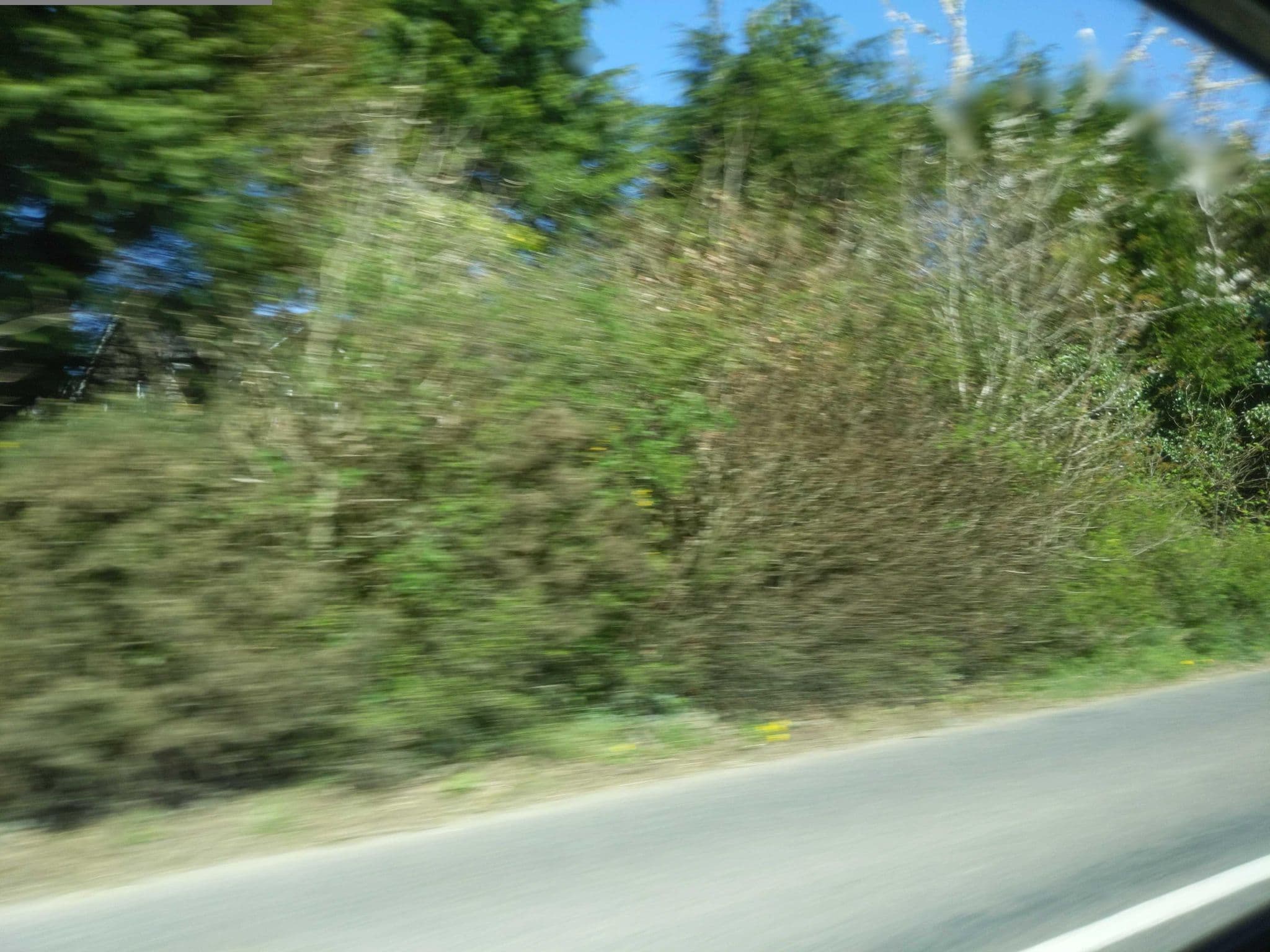 Street view near Fairway Lodge, Okehampton — © WaggyDog (CC BY-SA · Mapillary)
