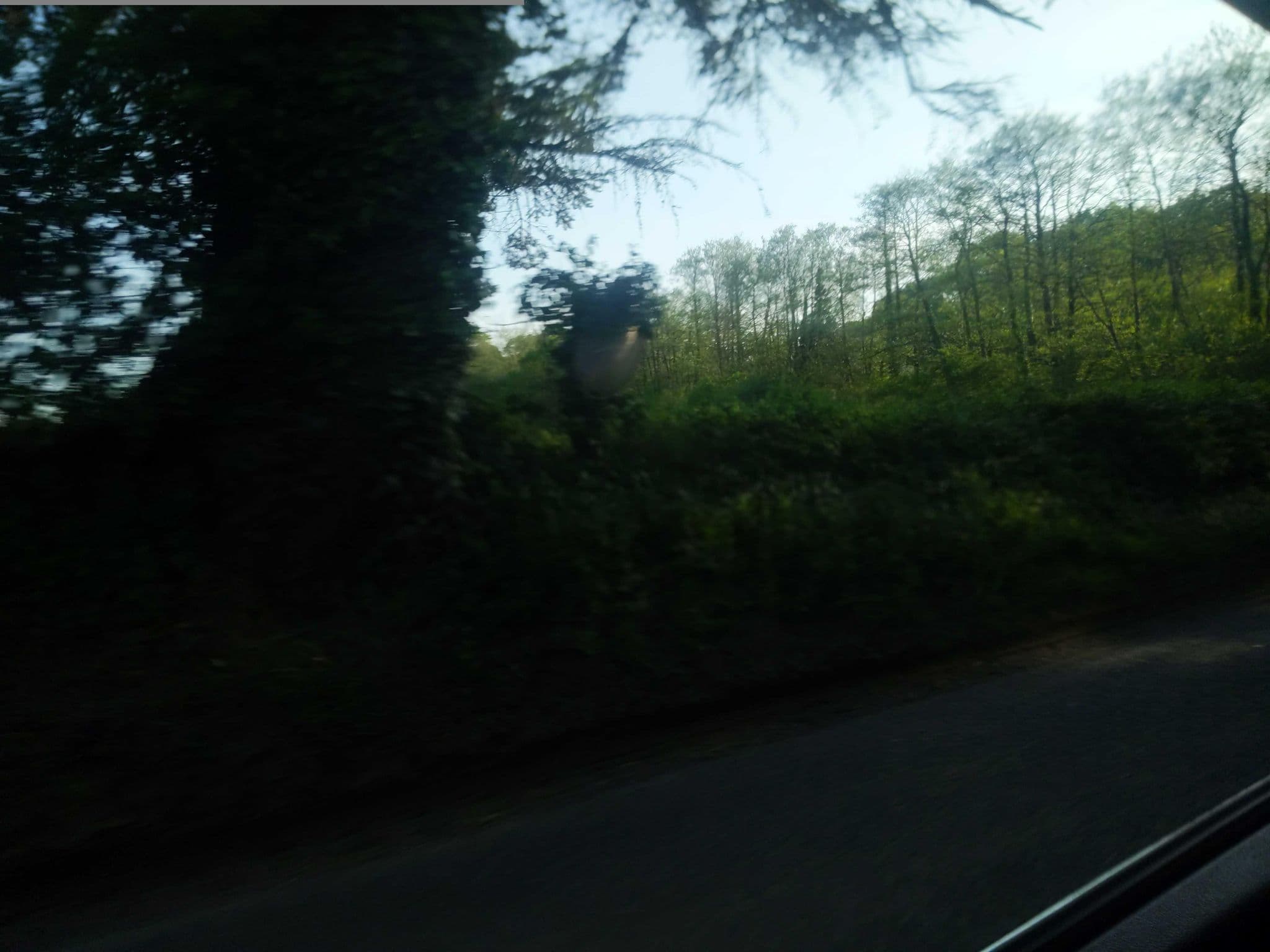 Street view near Umberleigh Barton Farm, Barnstaple — © WaggyDog (CC BY-SA · Mapillary)