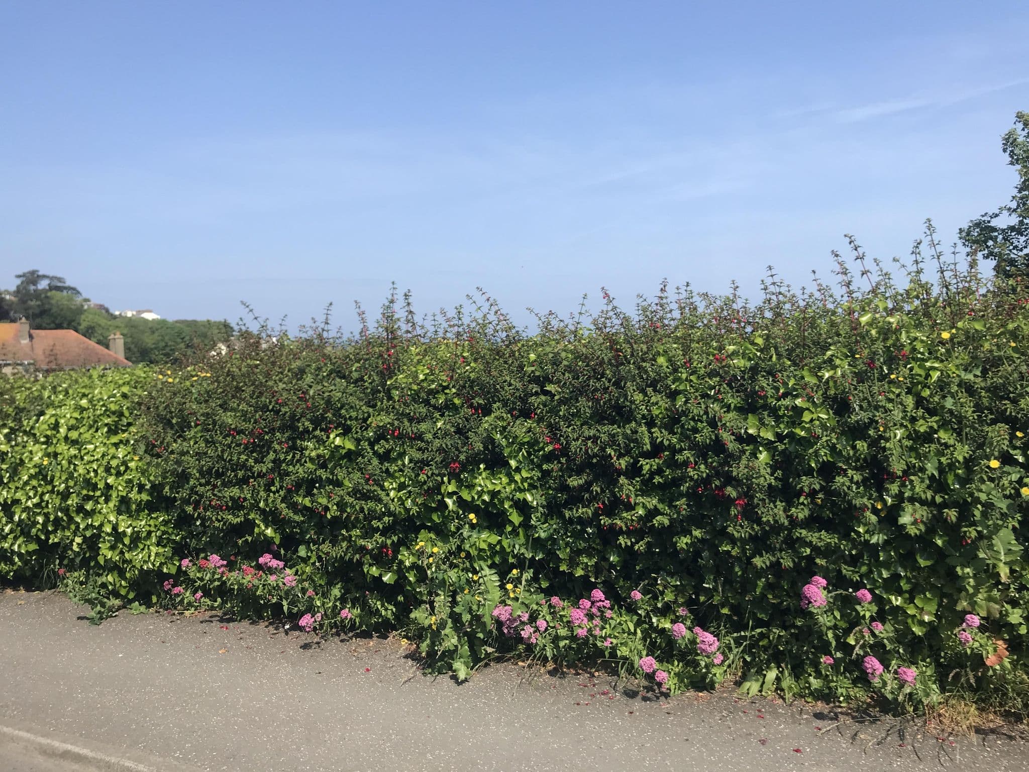 Street view near Neptune's Cove, Ilfracombe — © miguel_andrade (CC BY-SA · Mapillary)