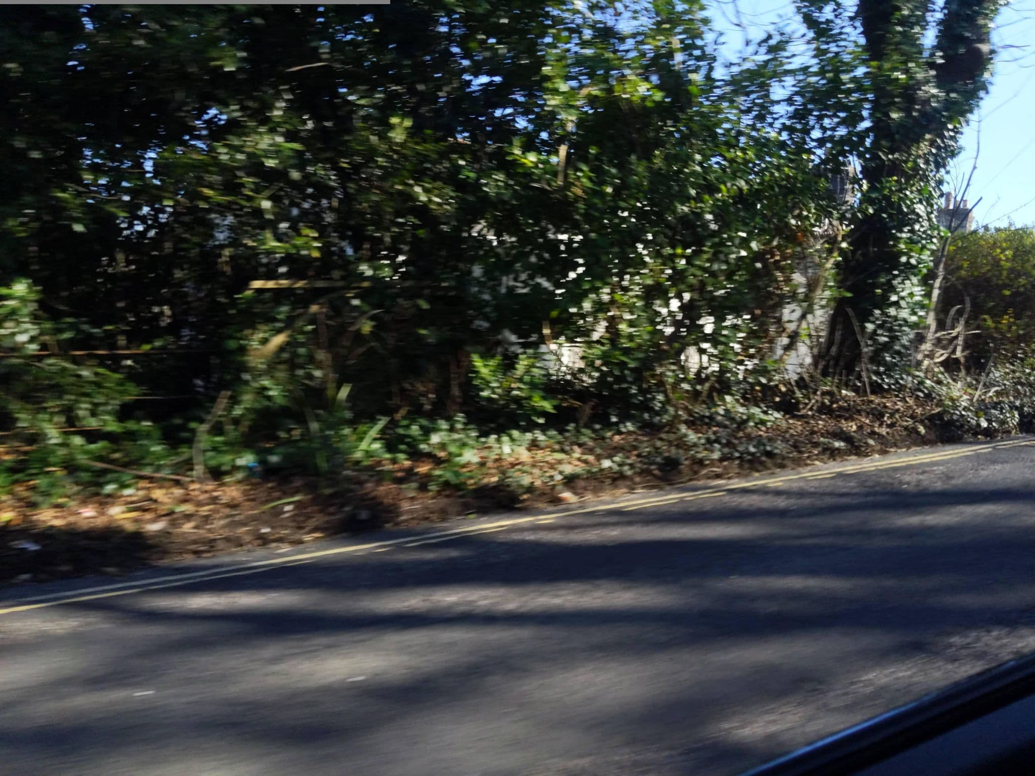 Street view near Dunster House, Cockington — © WaggyDog (CC BY-SA · Mapillary)