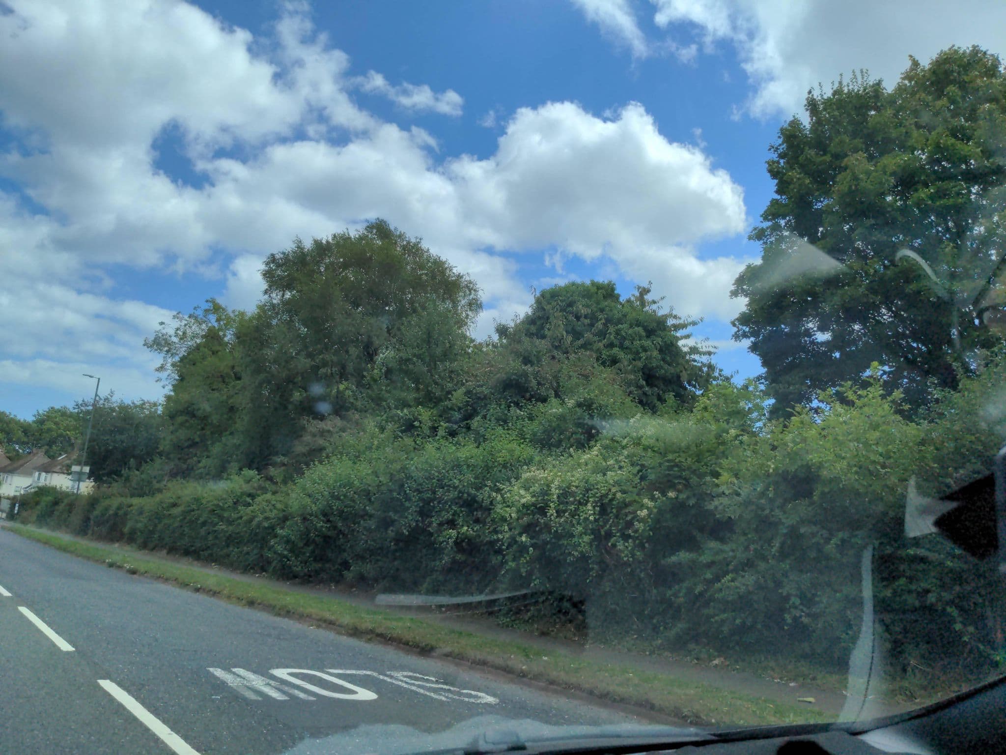 Street view near Collerton Lodge, Paignton — © WaggyDog (CC BY-SA · Mapillary)