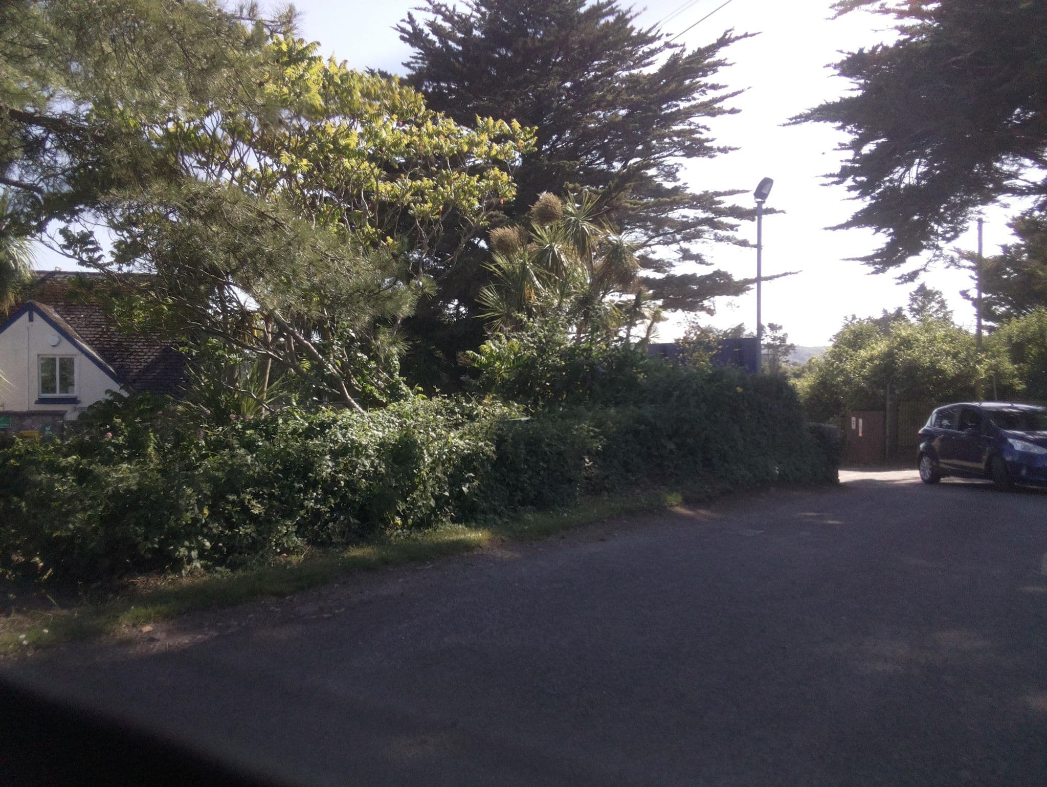 Street view near Landscove Holiday Park, Brixham — © southglos (CC BY-SA · Mapillary)