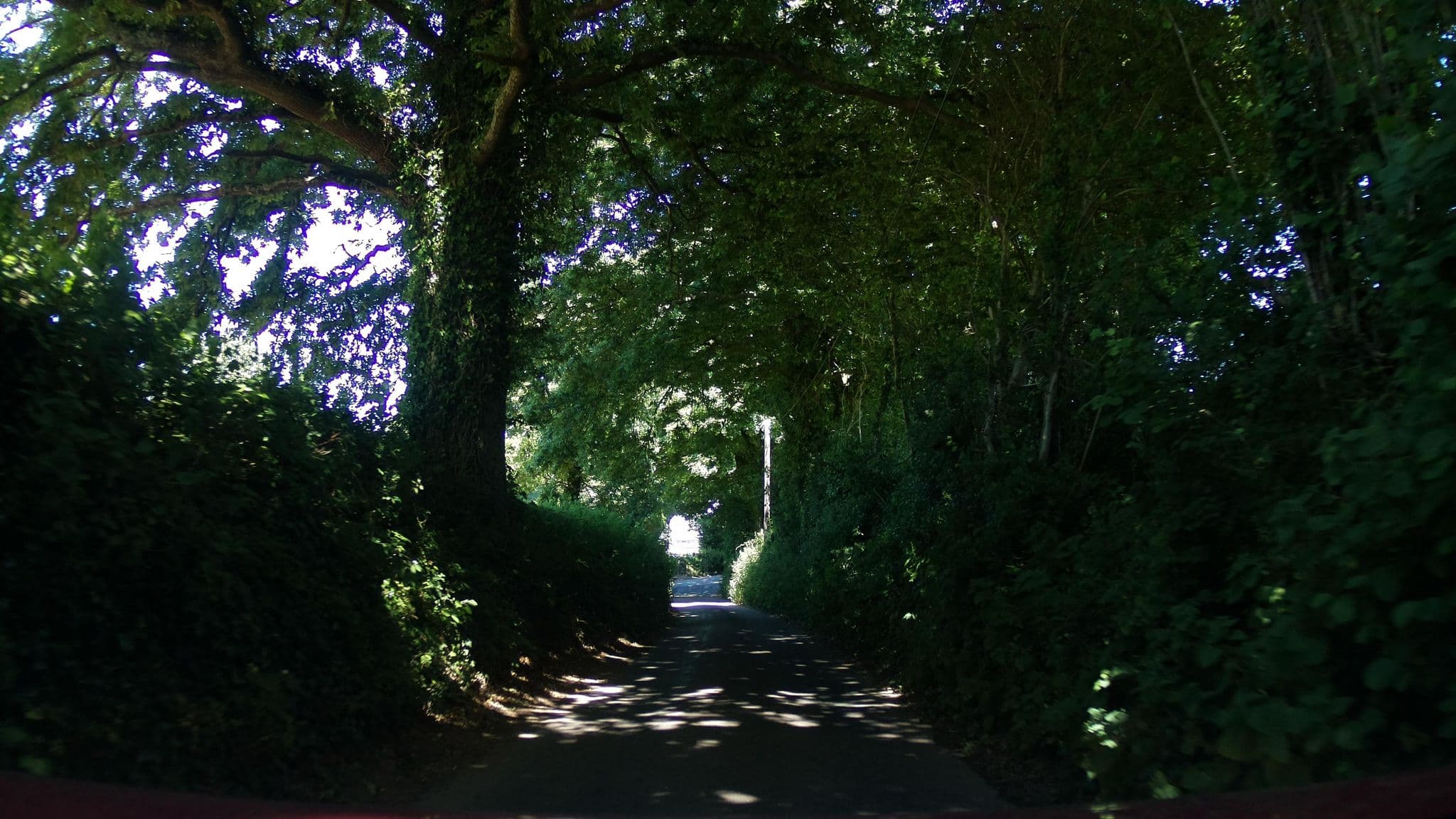 Street view near Driftwood Bungalow, Brixham — © southglos (CC BY-SA · Mapillary)