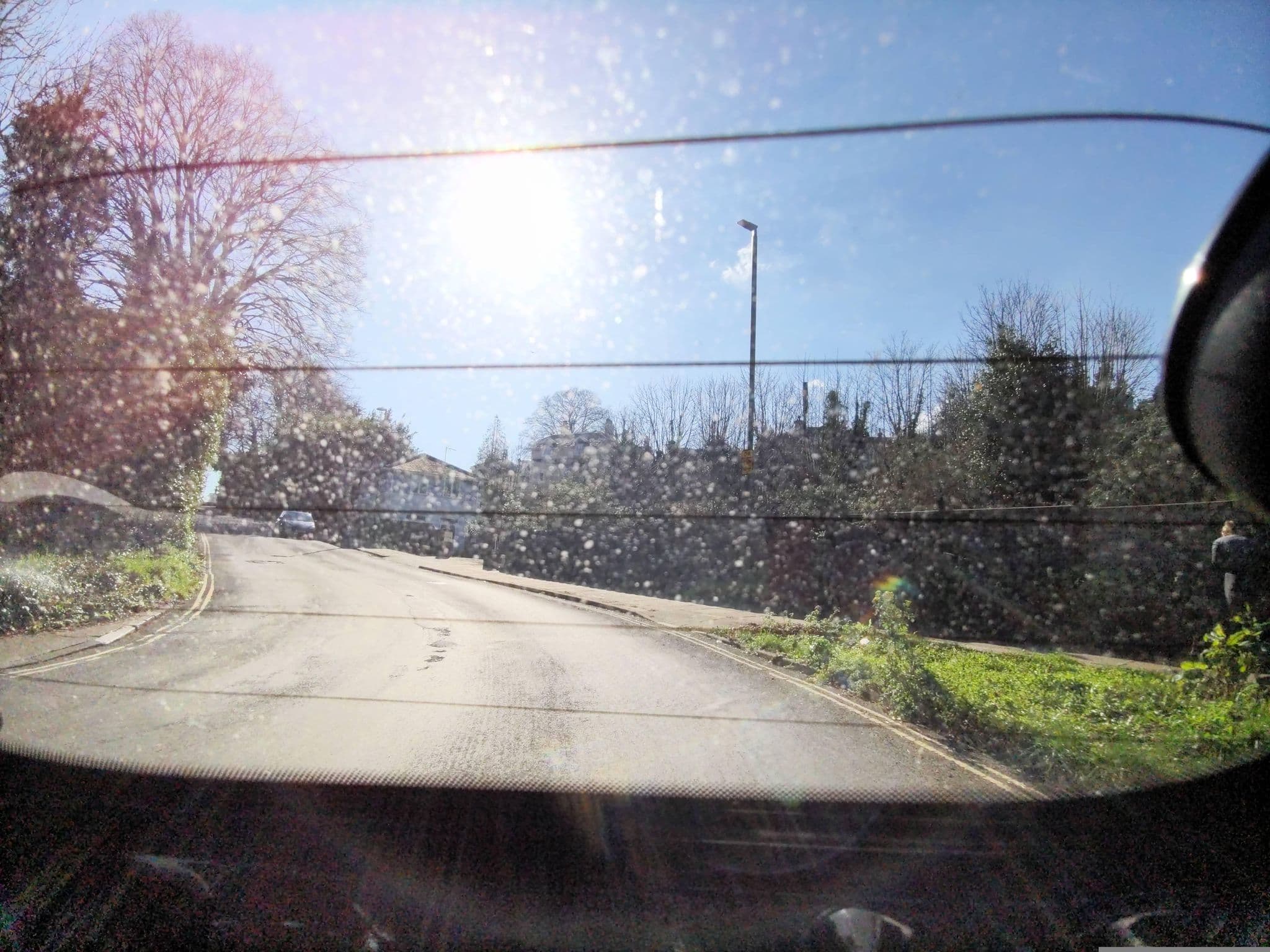 Street view near The Parks, Cockington — © WaggyDog (CC BY-SA · Mapillary)