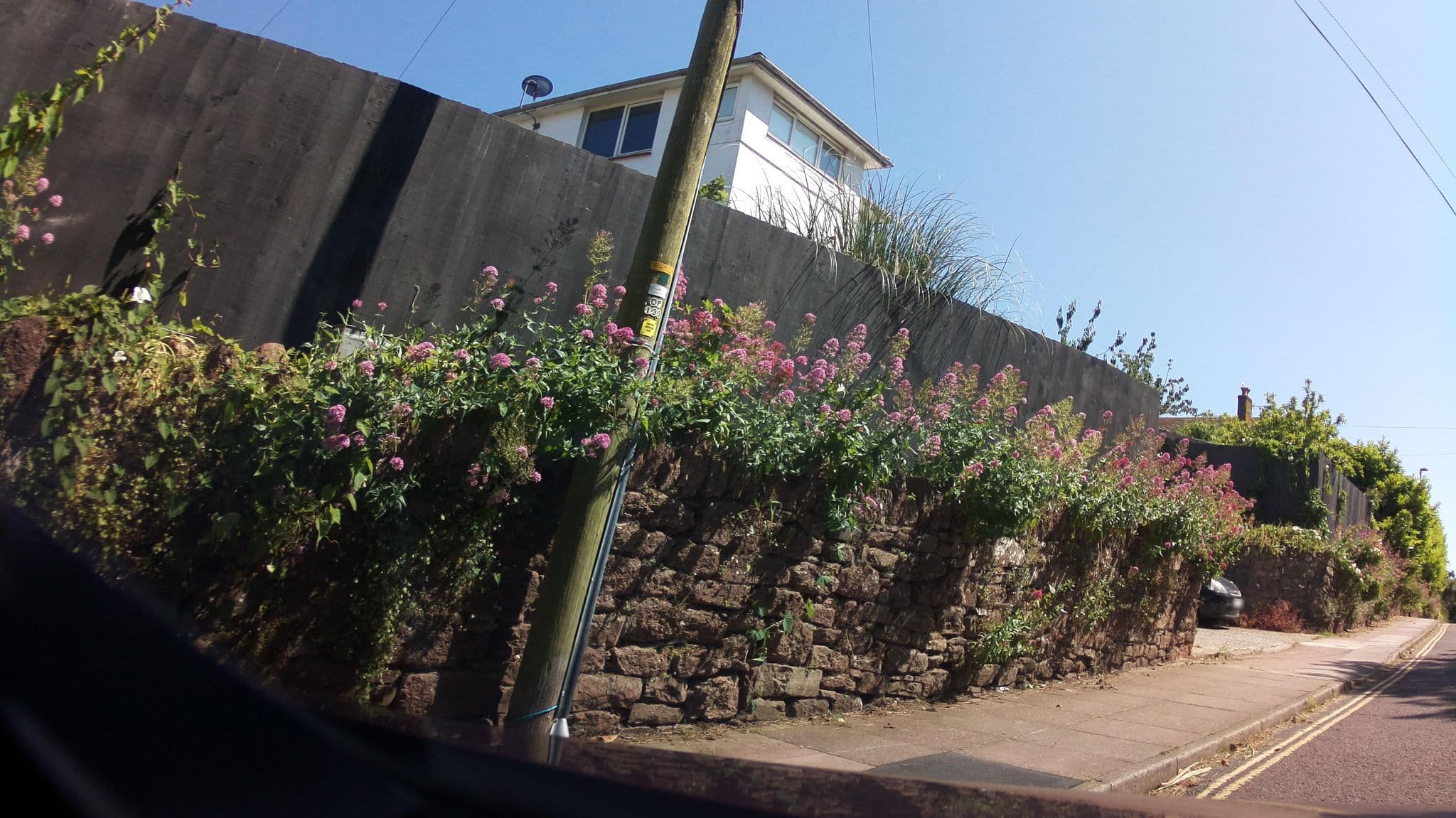 Street view near Benbows Guest House, Paignton — © southglos (CC BY-SA · Mapillary)