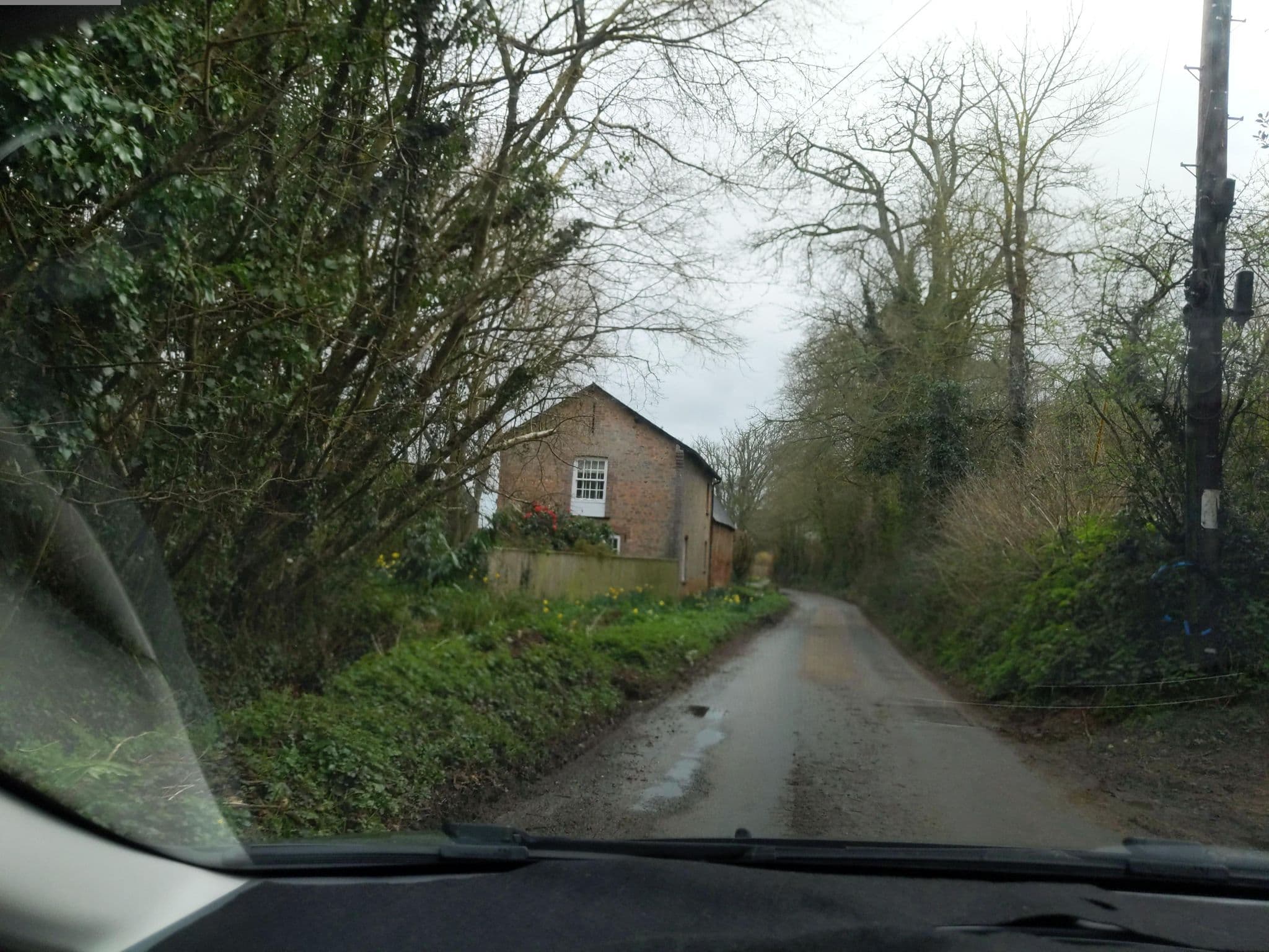 Street view near Badgers Den, Budleigh Salterton — © WaggyDog (CC BY-SA · Mapillary)