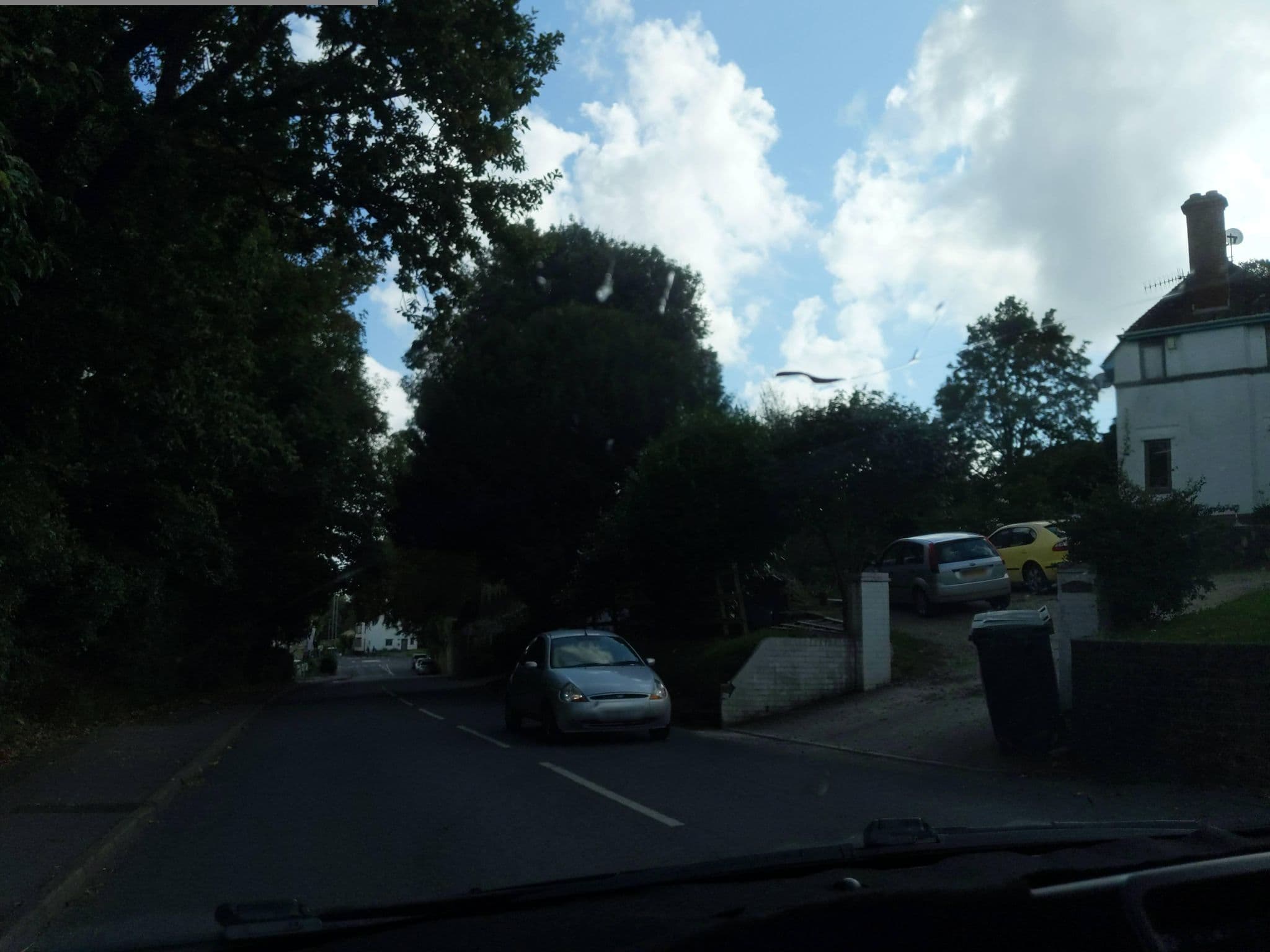 Street view near Thatch, Lyme Regis — © WaggyDog (CC BY-SA · Mapillary)