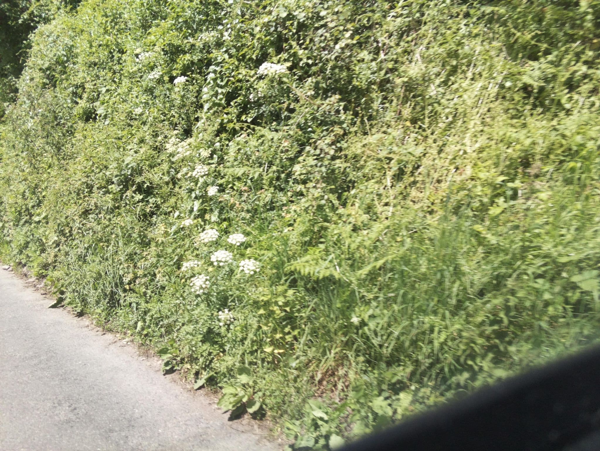 Street view near Threshays Bed & Breakfast, Honiton — © southglos (CC BY-SA · Mapillary)