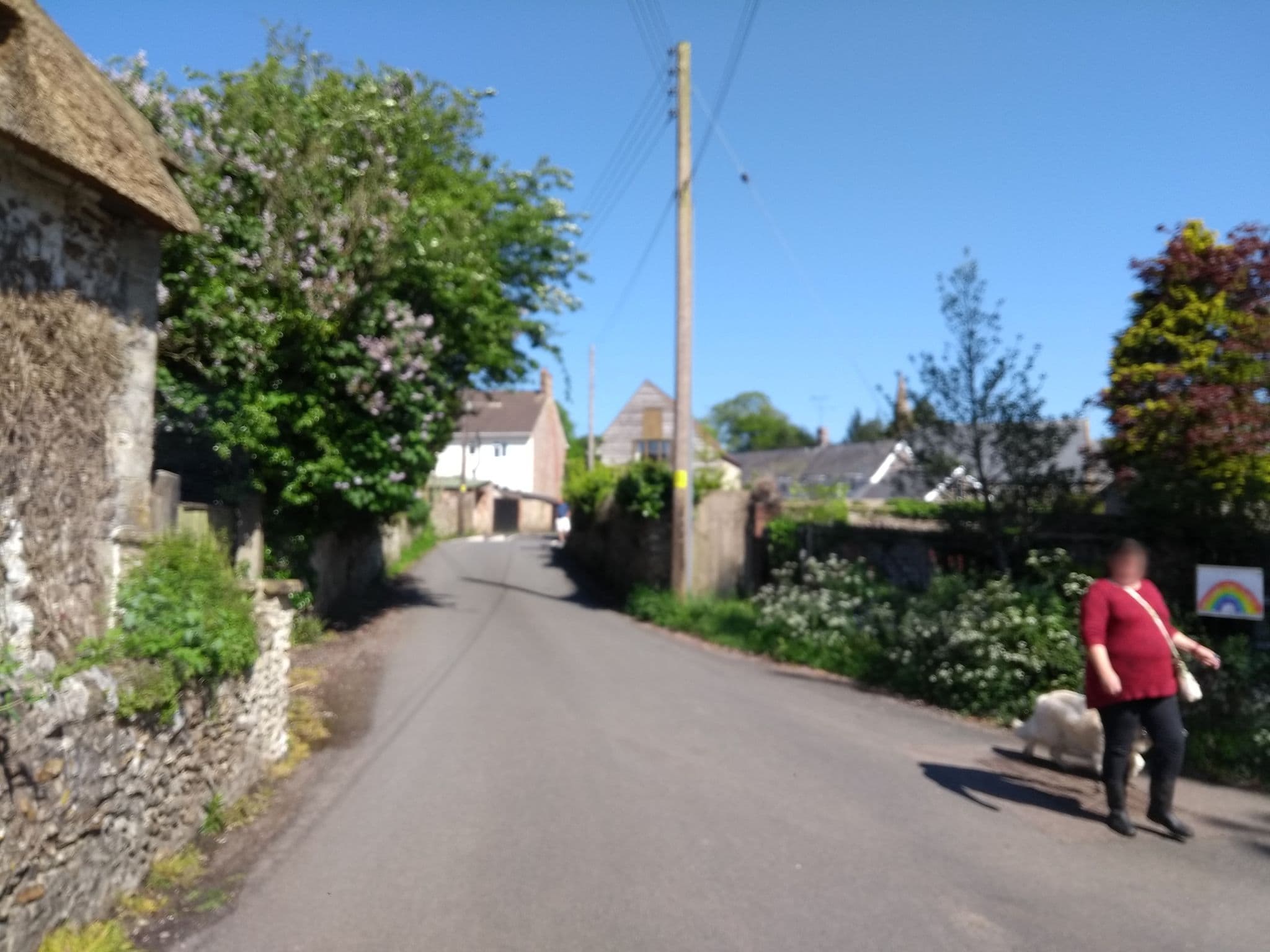 Street view near Lakehayes Cottages, Chard — © ukchris (CC BY-SA · Mapillary)