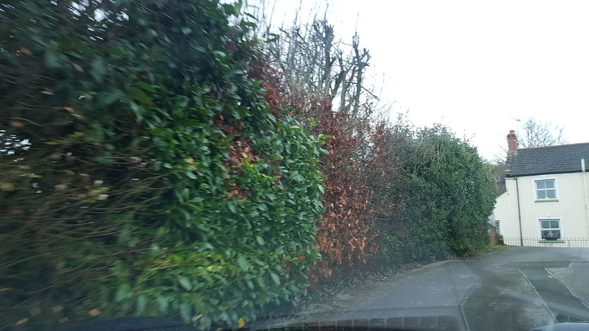 Street view near The Haymaker Inn, Chard — © richardc (CC BY-SA · Mapillary)